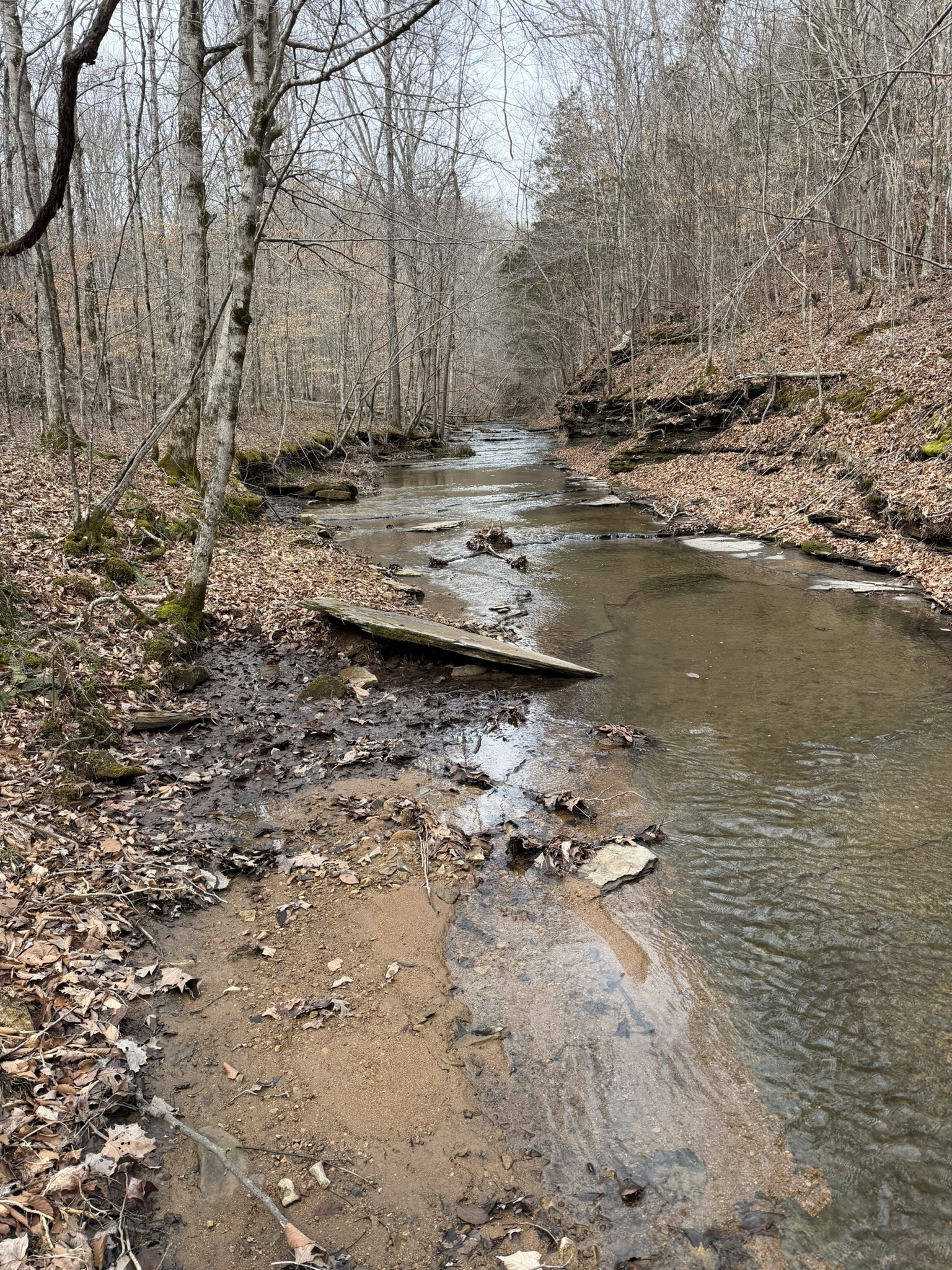 0 Collier Bend Road Charlotte TN 37036