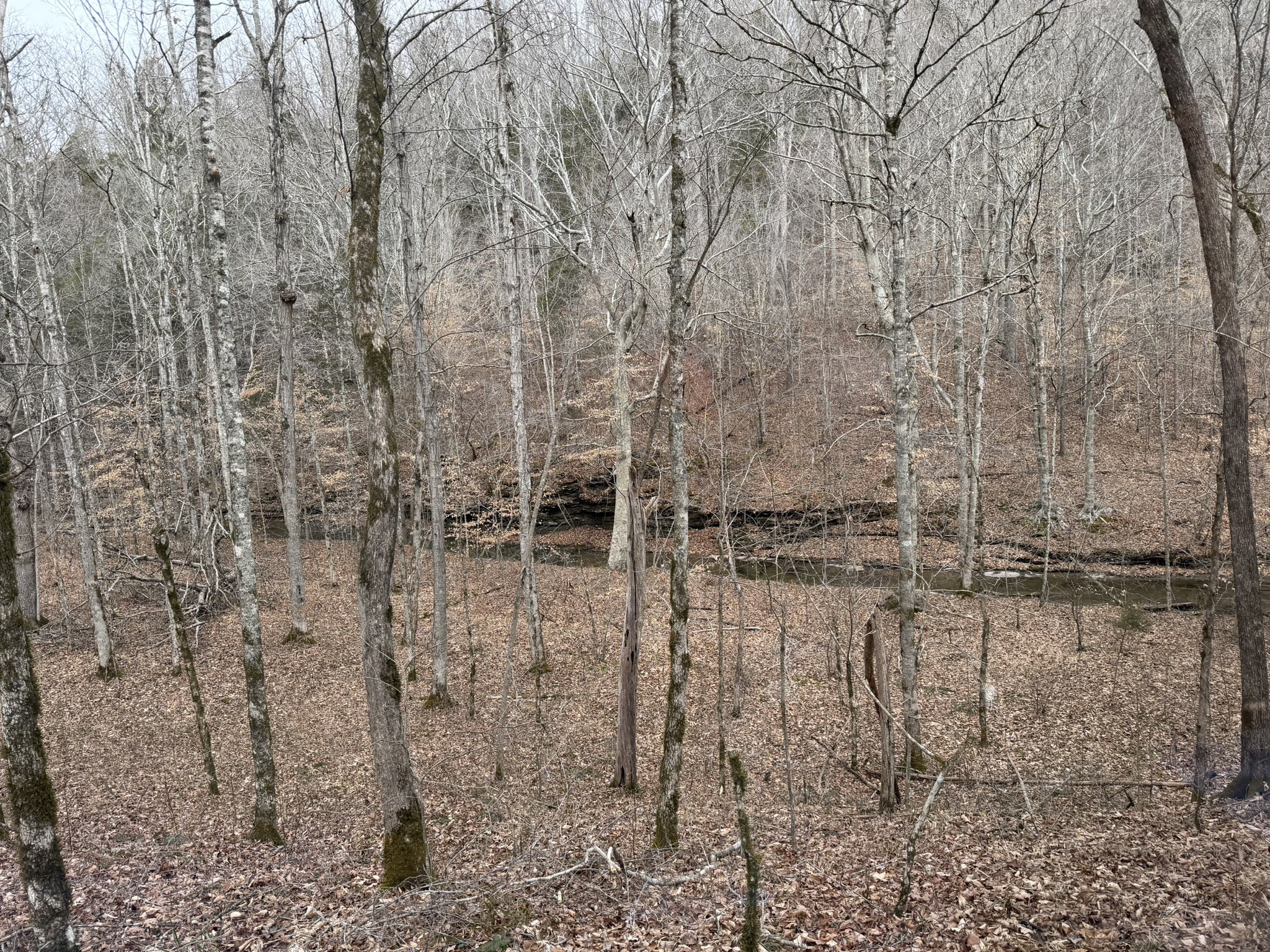 0 Collier Bend Road Charlotte TN 37036