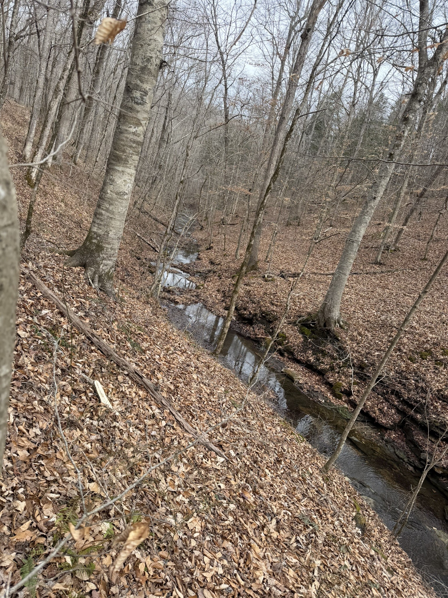 0 Collier Bend Road Charlotte TN 37036