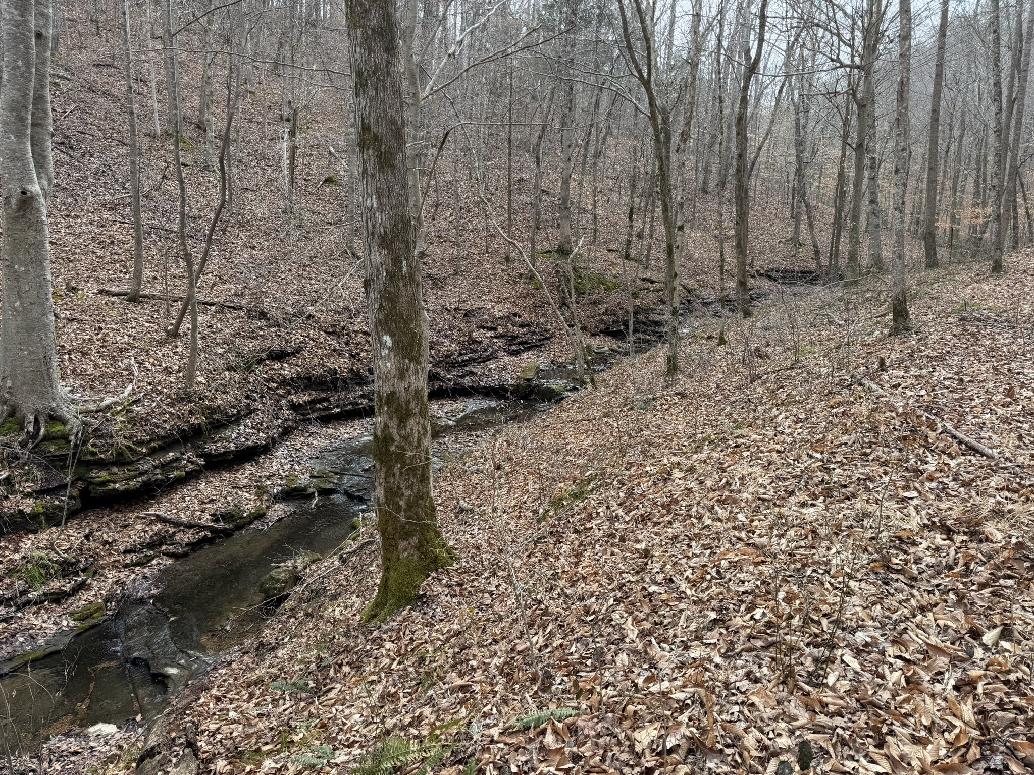 0 Collier Bend Road Charlotte TN 37036