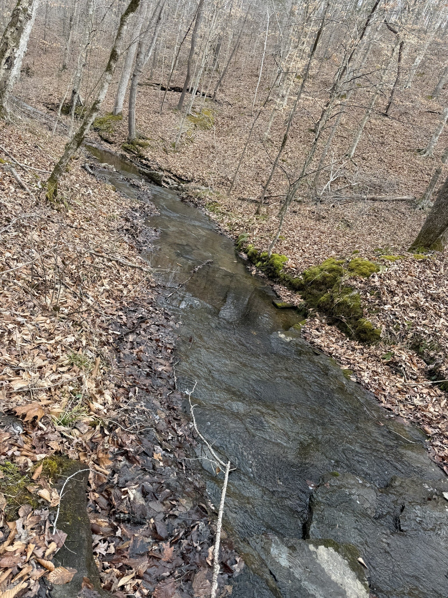 0 Collier Bend Road Charlotte TN 37036