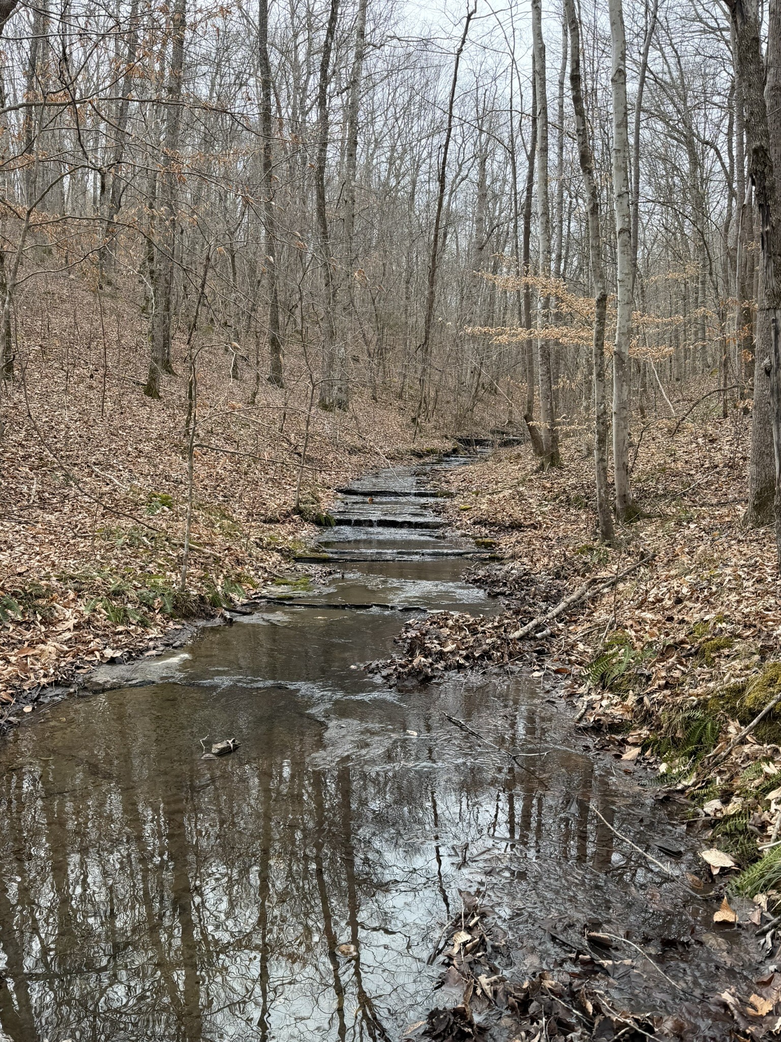 0 Collier Bend Road Charlotte TN 37036