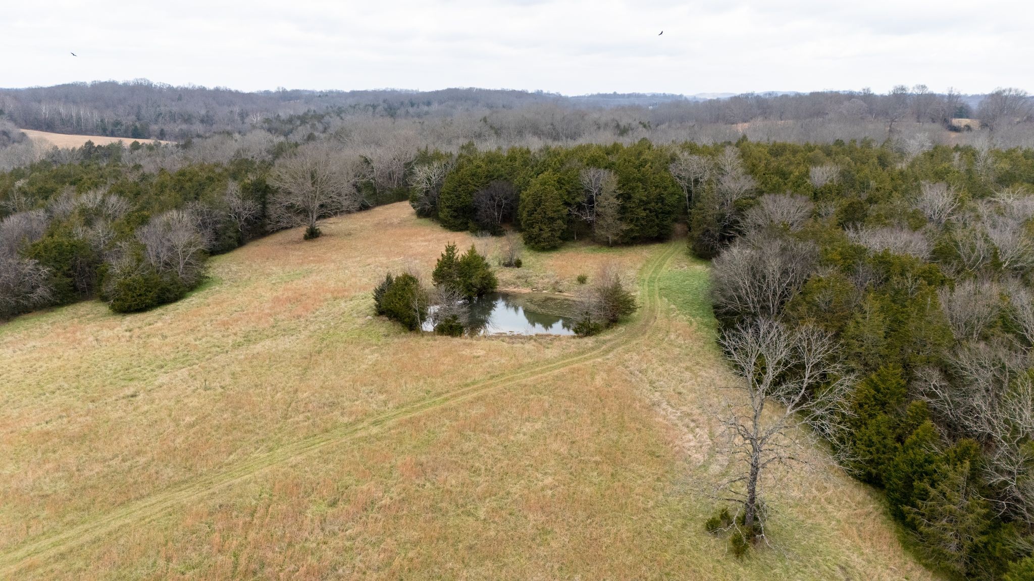 0 Flat Creek Road Spring Hill TN 37174