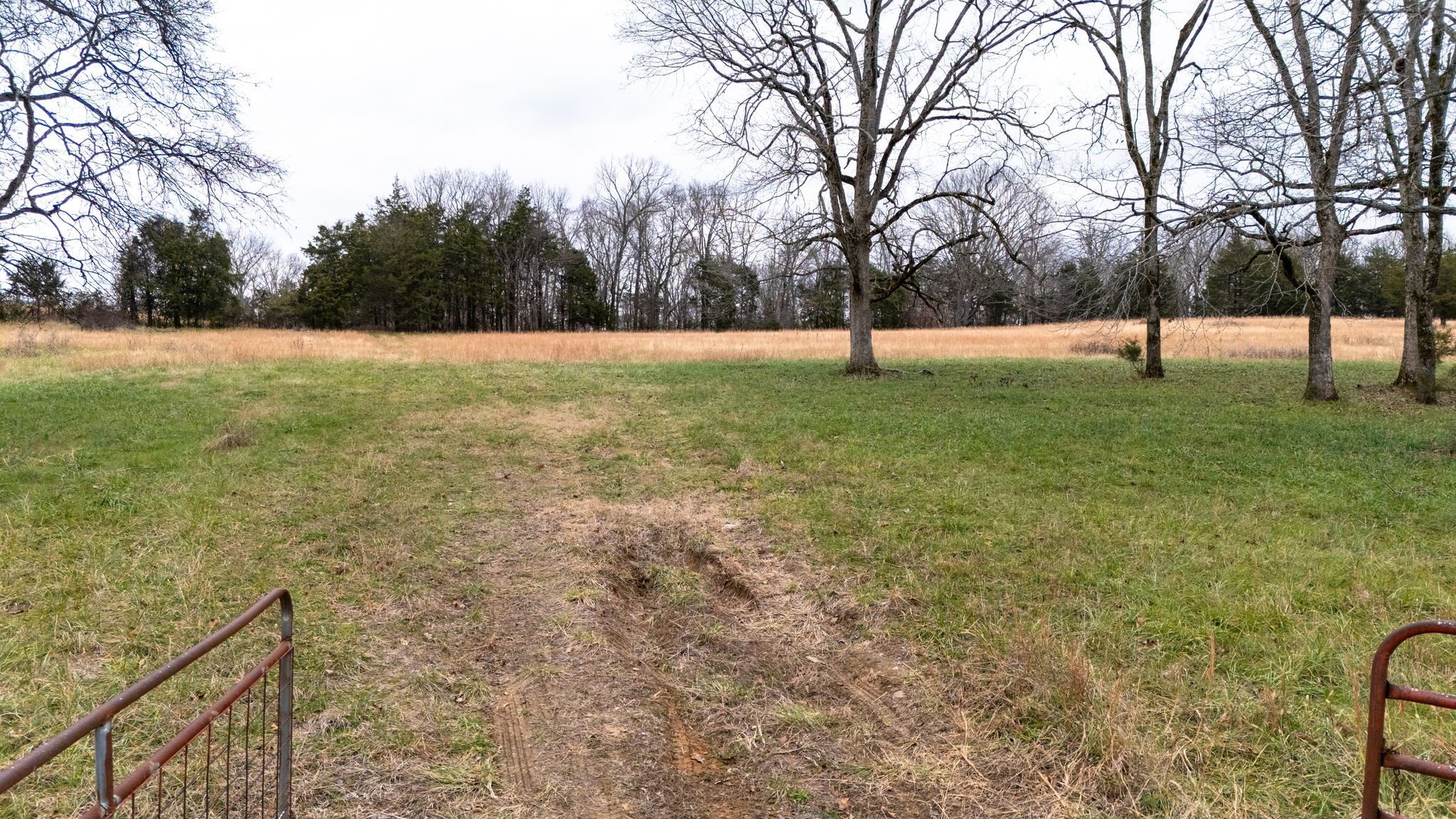 0 Flat Creek Road Spring Hill TN 37174