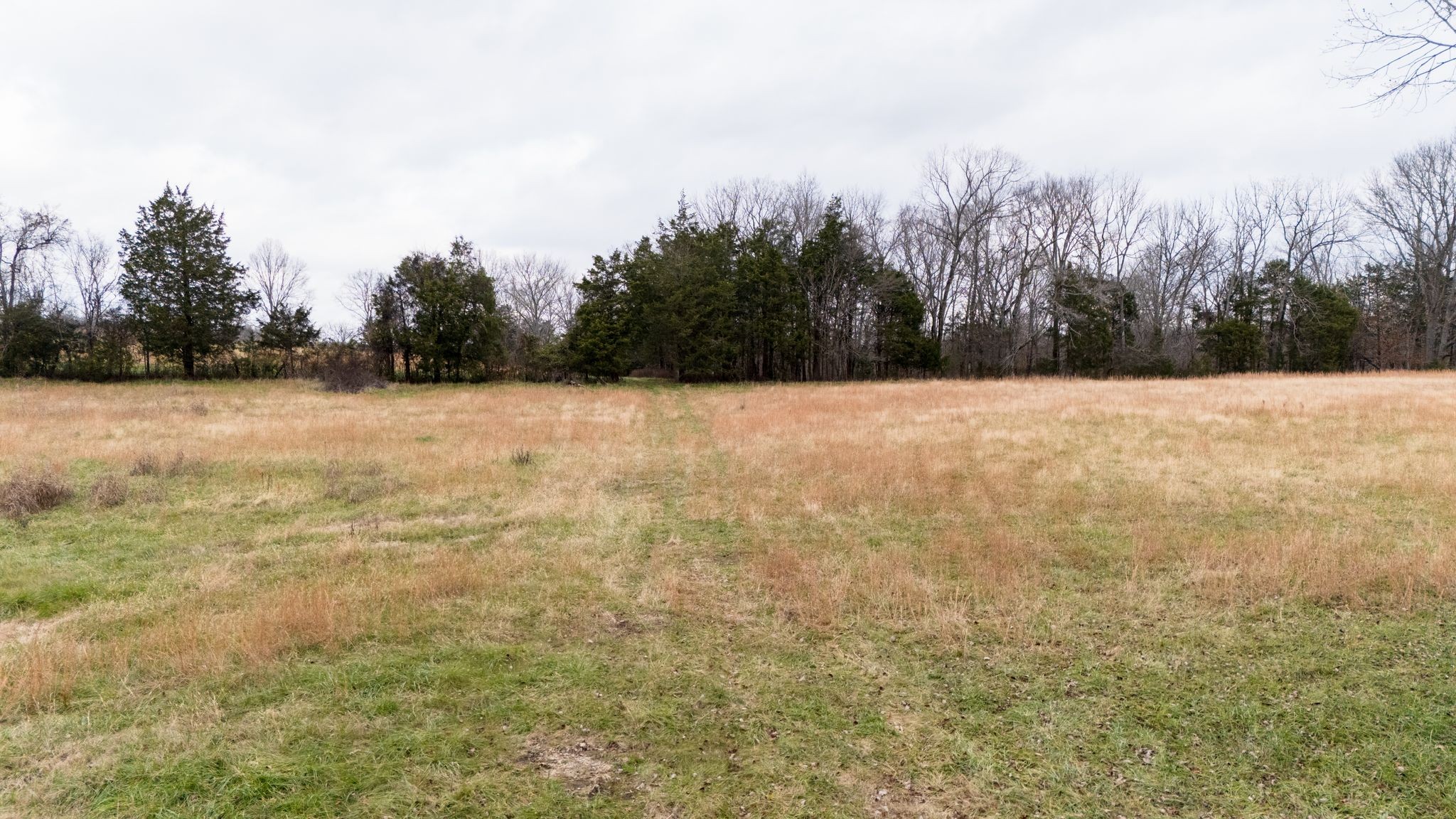 0 Flat Creek Road Spring Hill TN 37174