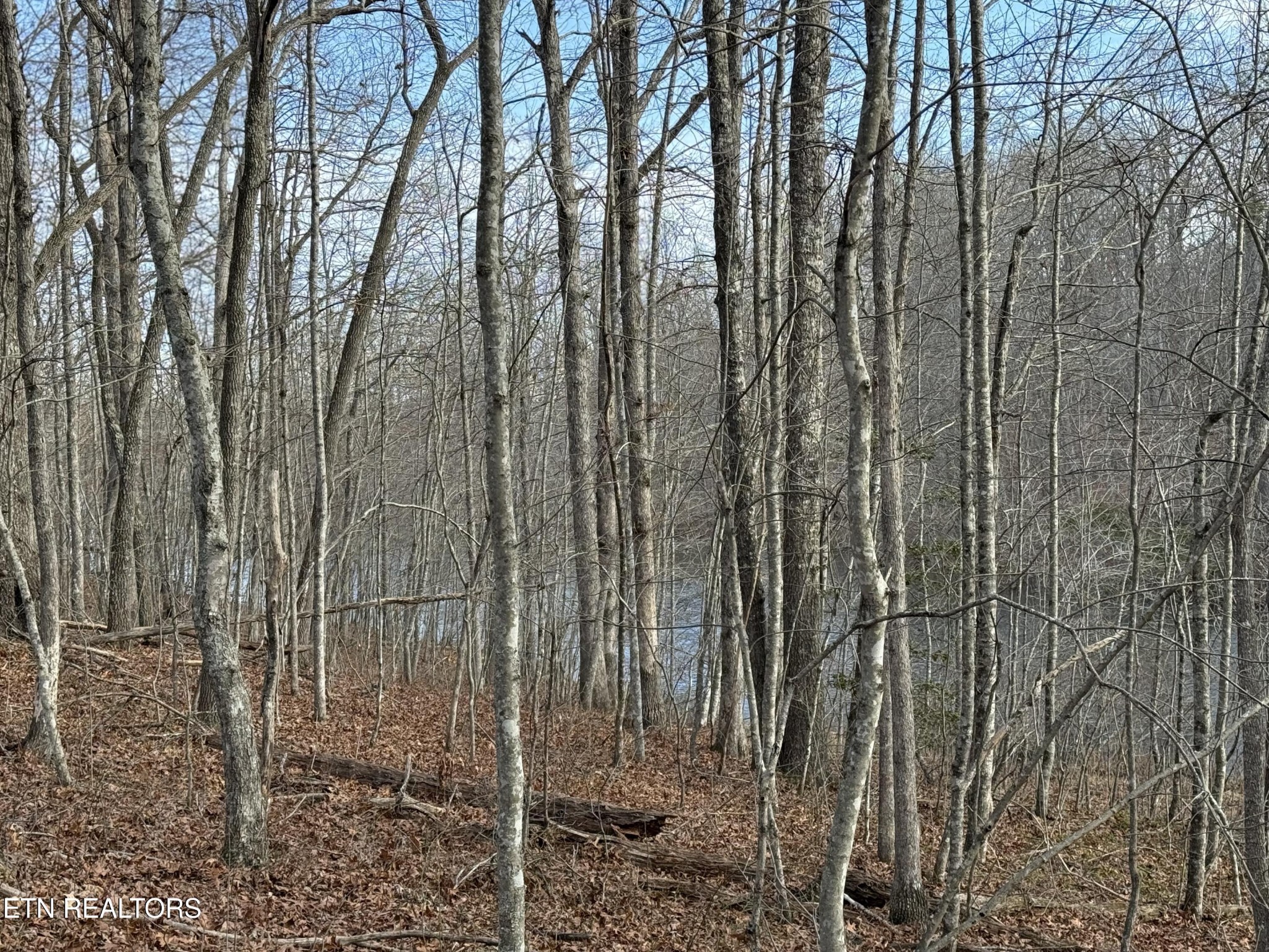 0 Crystal Point Monterey TN 38574