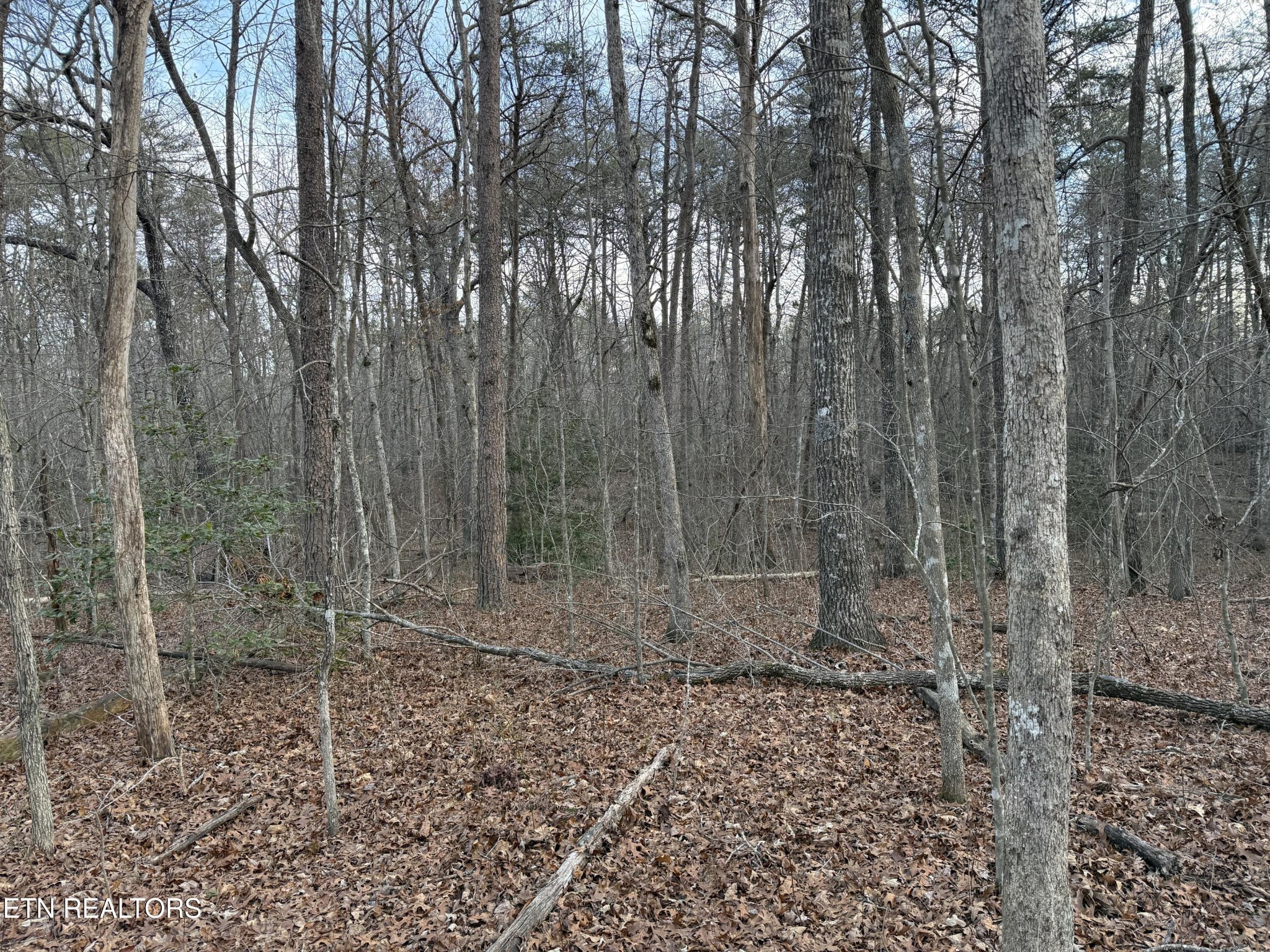 0 Crystal Point Monterey TN 38574