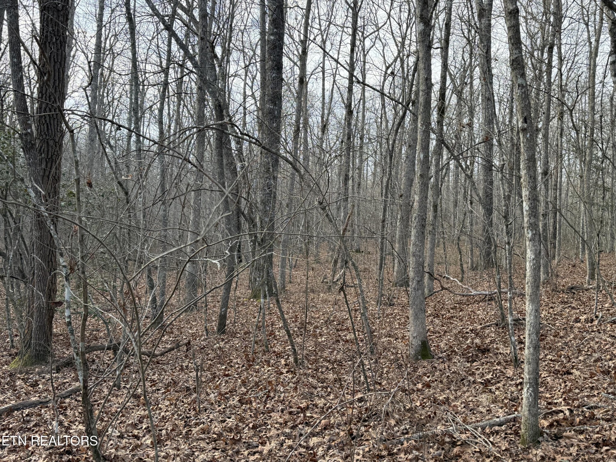 0 Crystal Point Monterey TN 38574