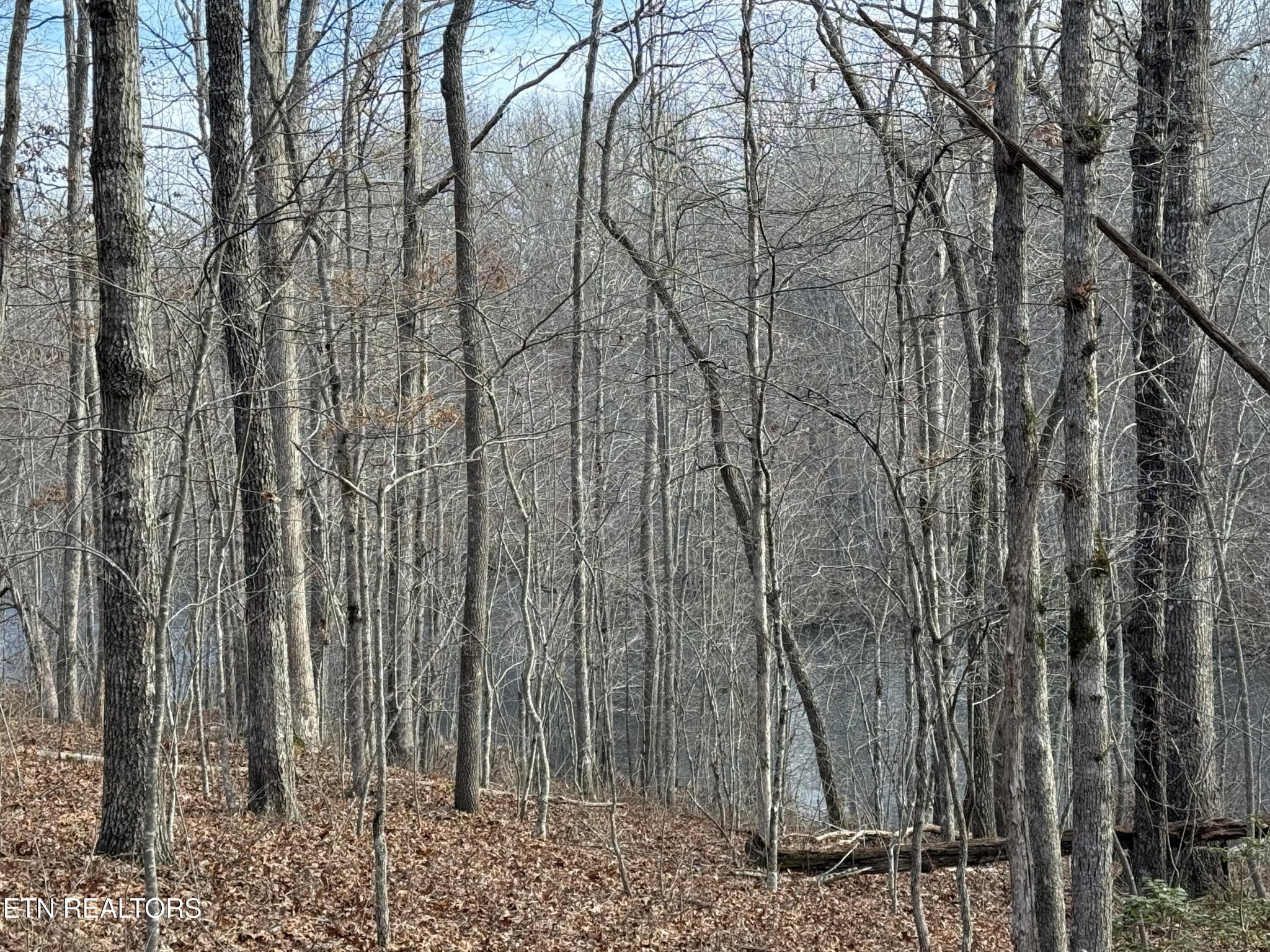 0 Crystal Point Monterey TN 38574