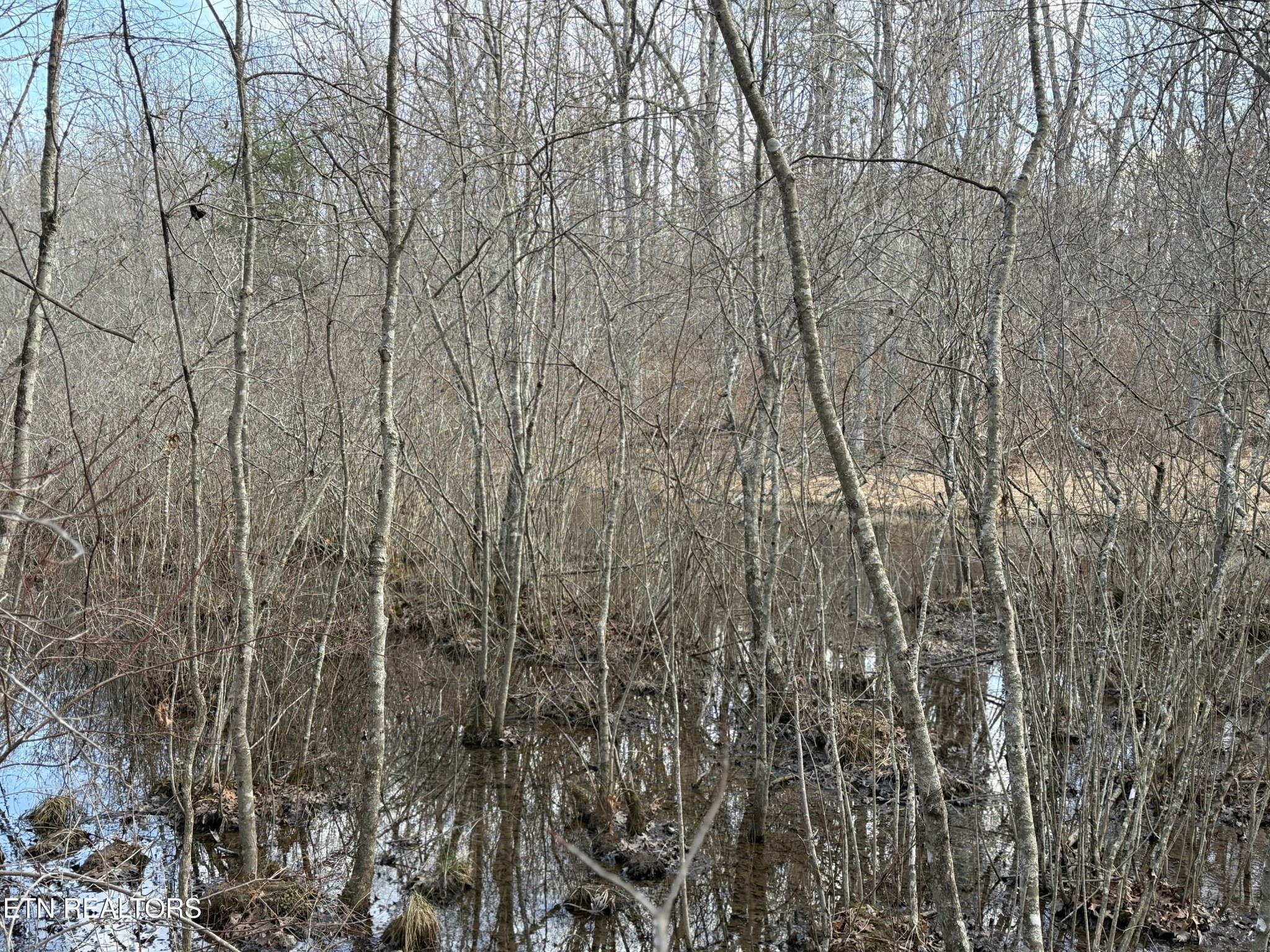 0 Crystal Point Monterey TN 38574