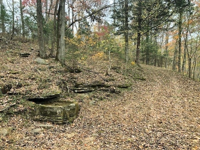 351 Rocky River Road Rock Island TN 38581