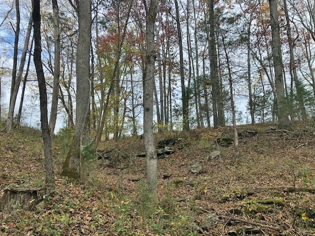 351 Rocky River Road Rock Island TN 38581