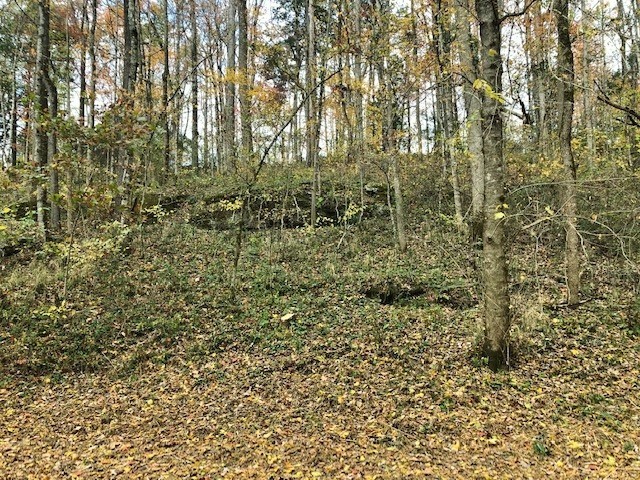 351 Rocky River Road Rock Island TN 38581