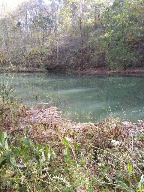 351 Rocky River Road Rock Island TN 38581