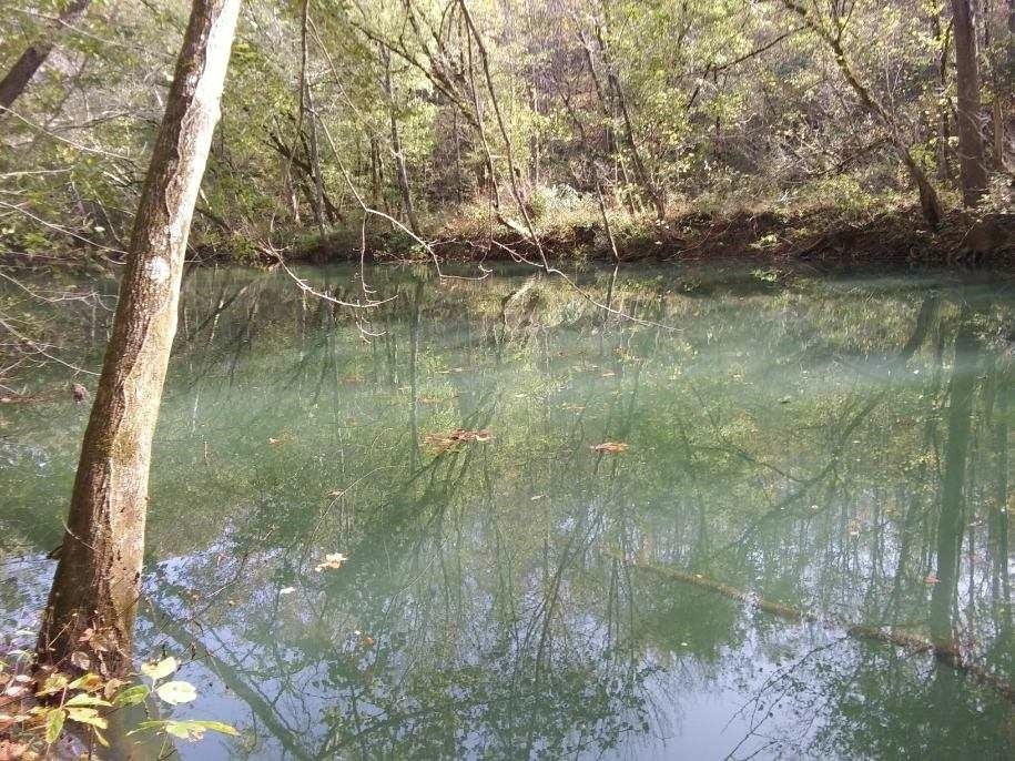 351 Rocky River Road Rock Island TN 38581