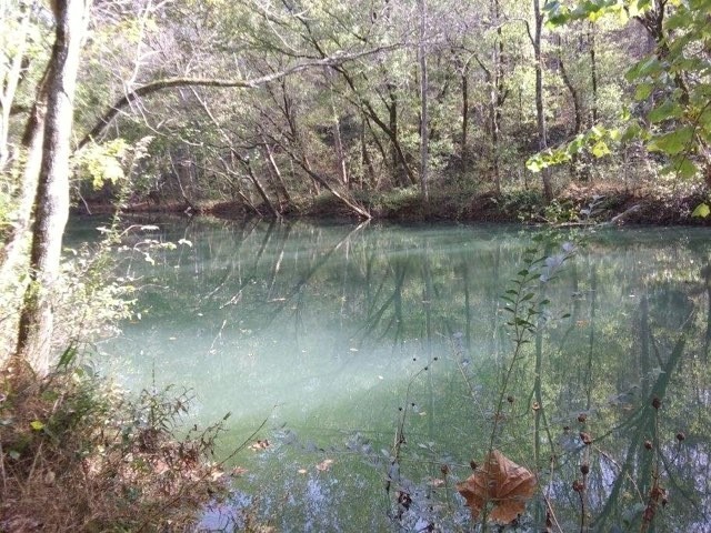 351 Rocky River Road Rock Island TN 38581