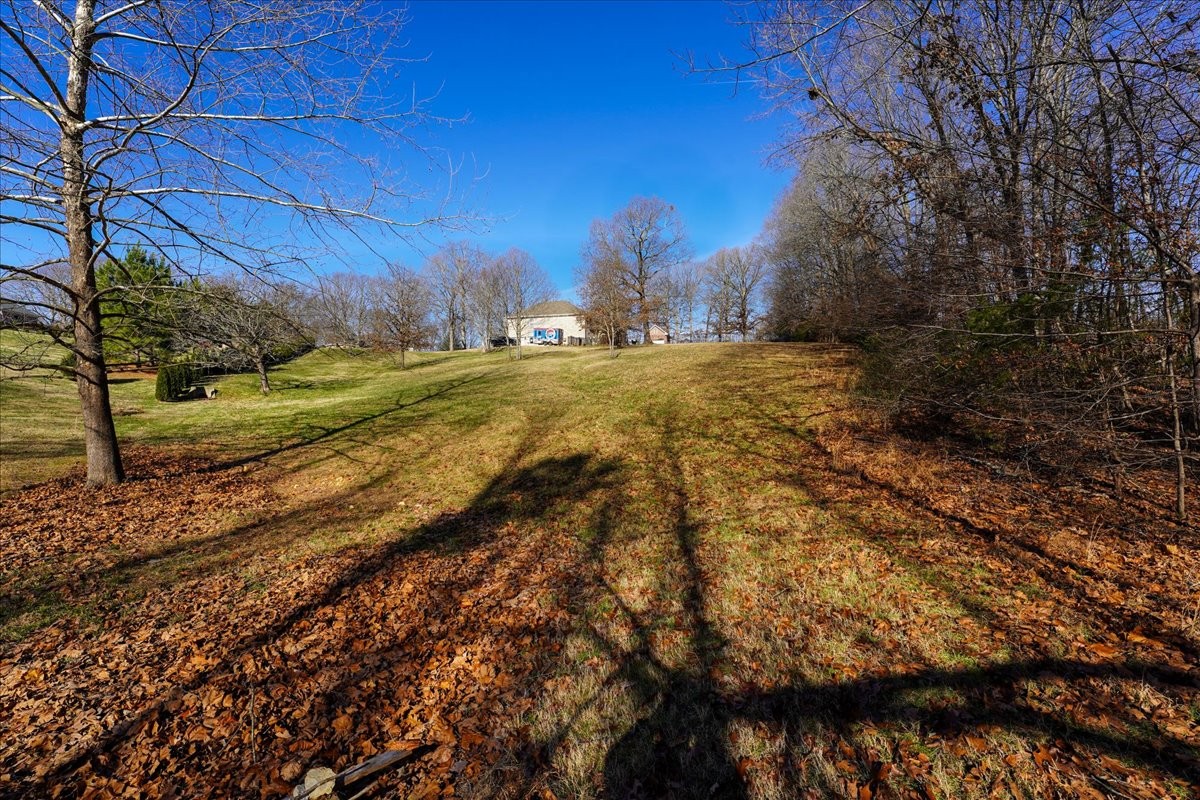 7228 Mccormick Lane Fairview TN 37062