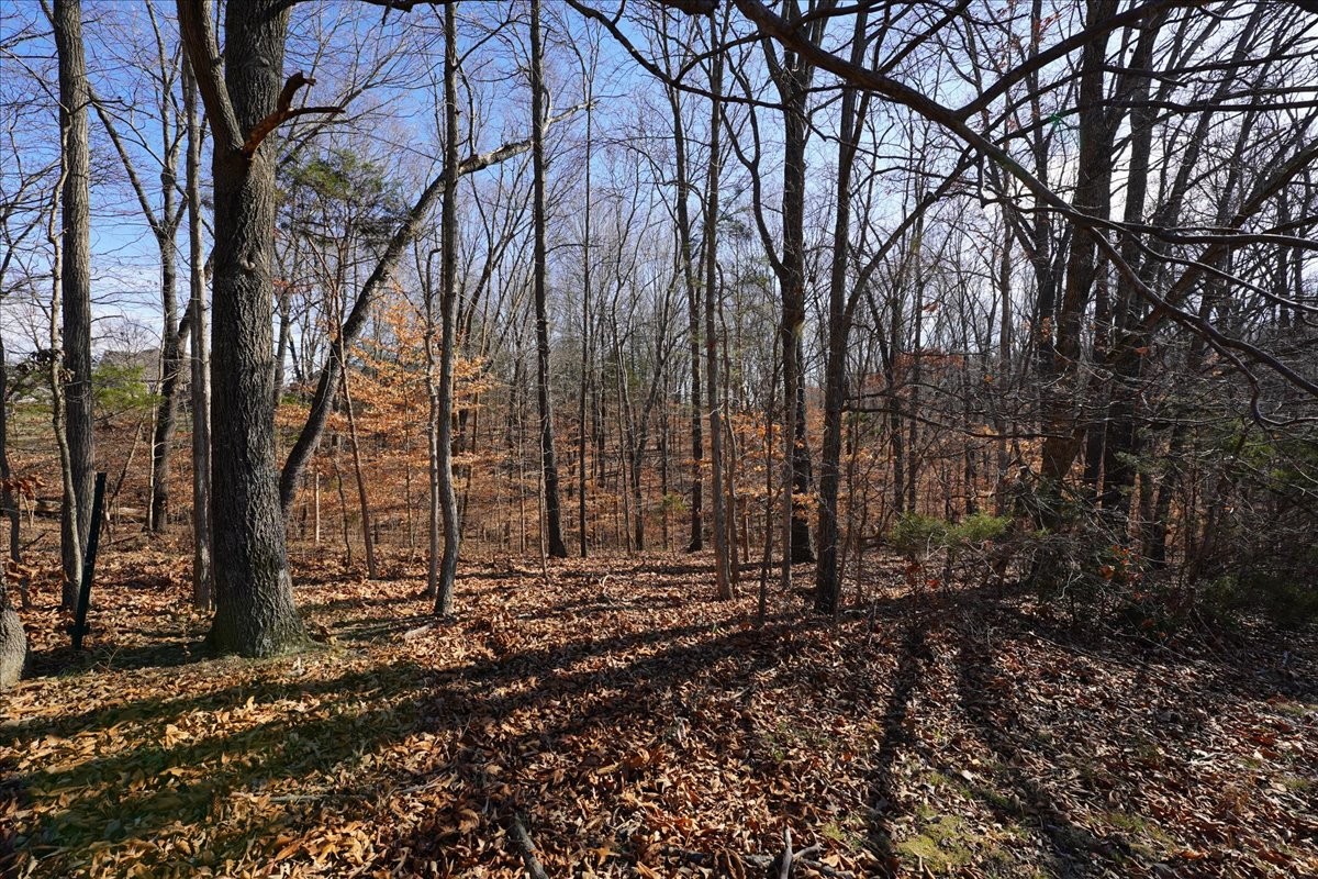 7228 Mccormick Lane Fairview TN 37062