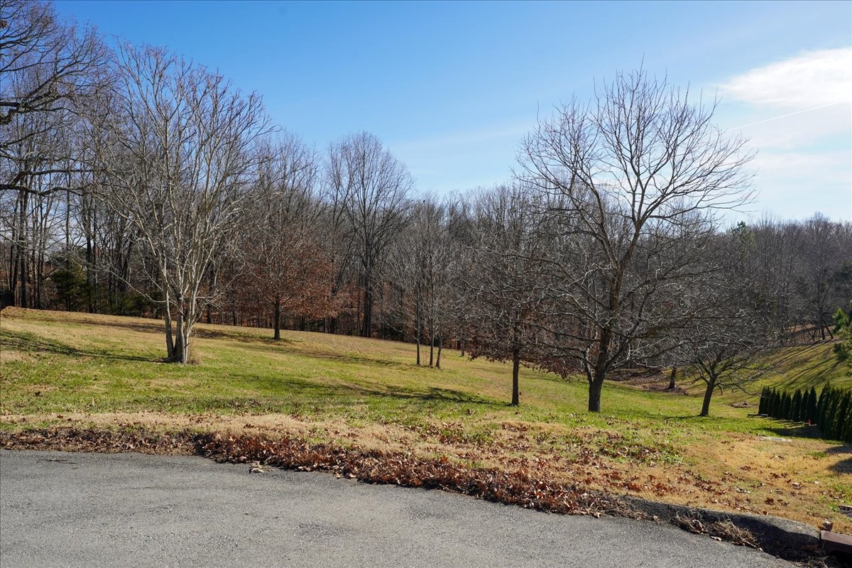 7228 Mccormick Lane Fairview TN 37062