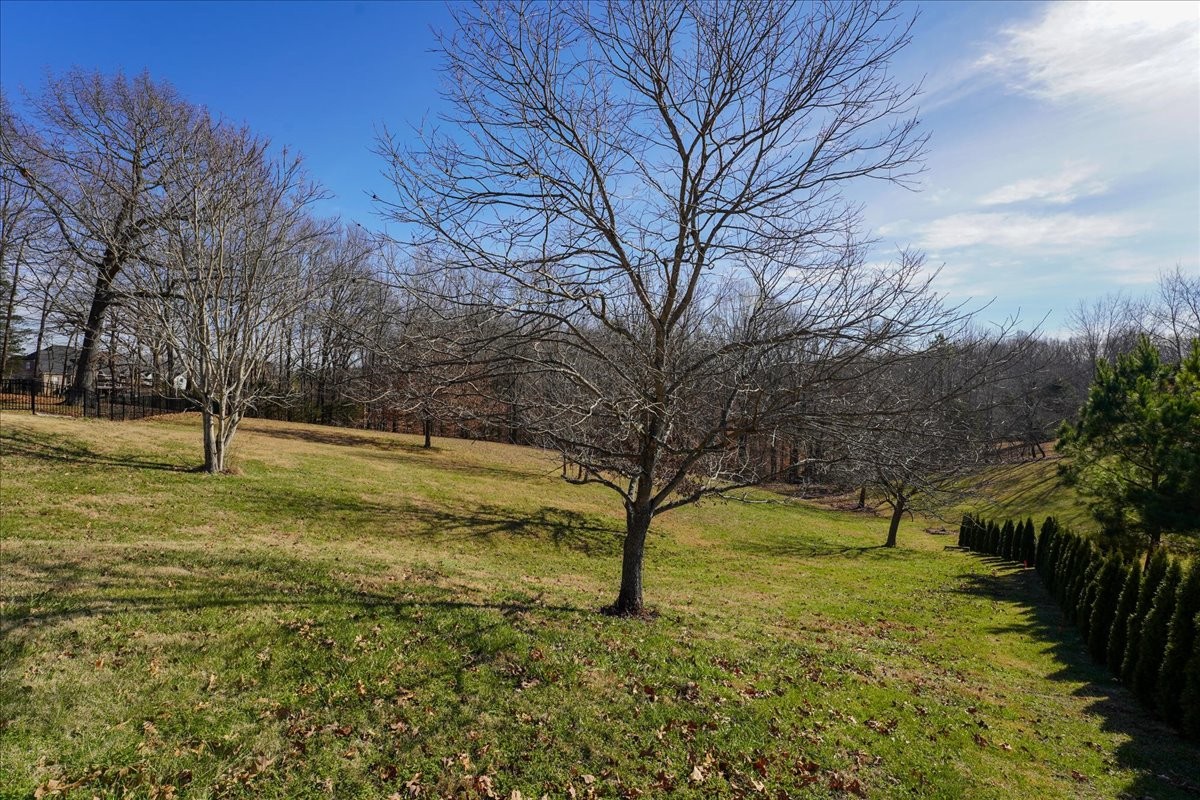 7228 Mccormick Lane Fairview TN 37062