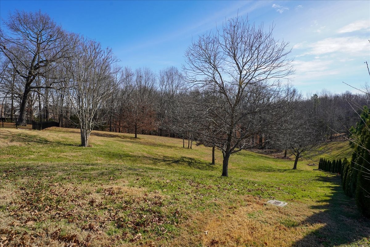 7228 Mccormick Lane Fairview TN 37062
