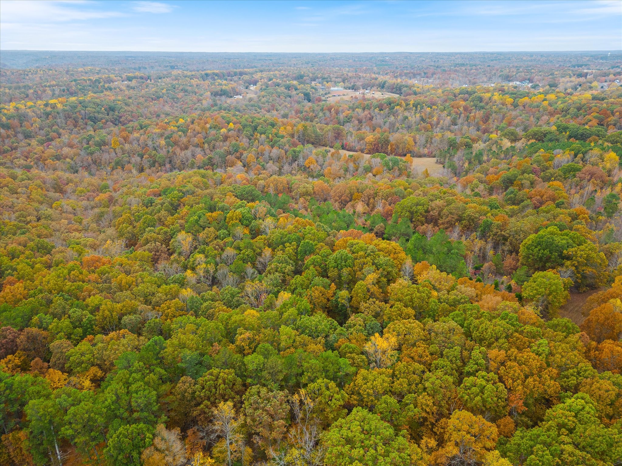 0 Wallace Road Fairview TN 37062
