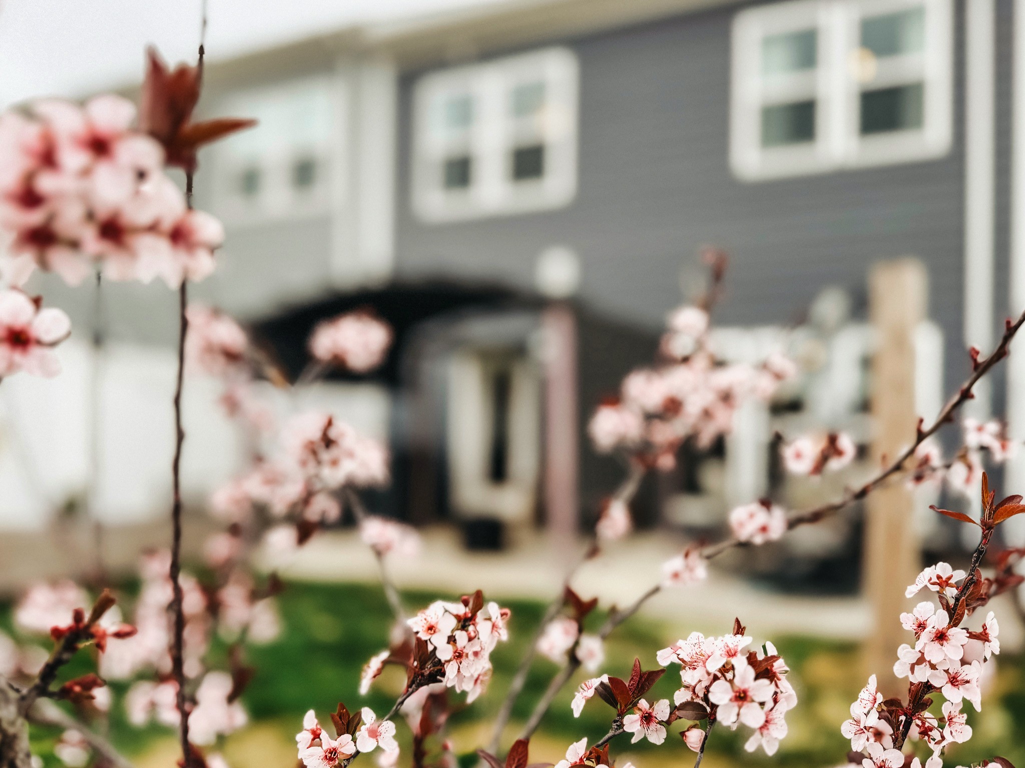 1251 June Wilde Ridge Spring Hill TN 37174