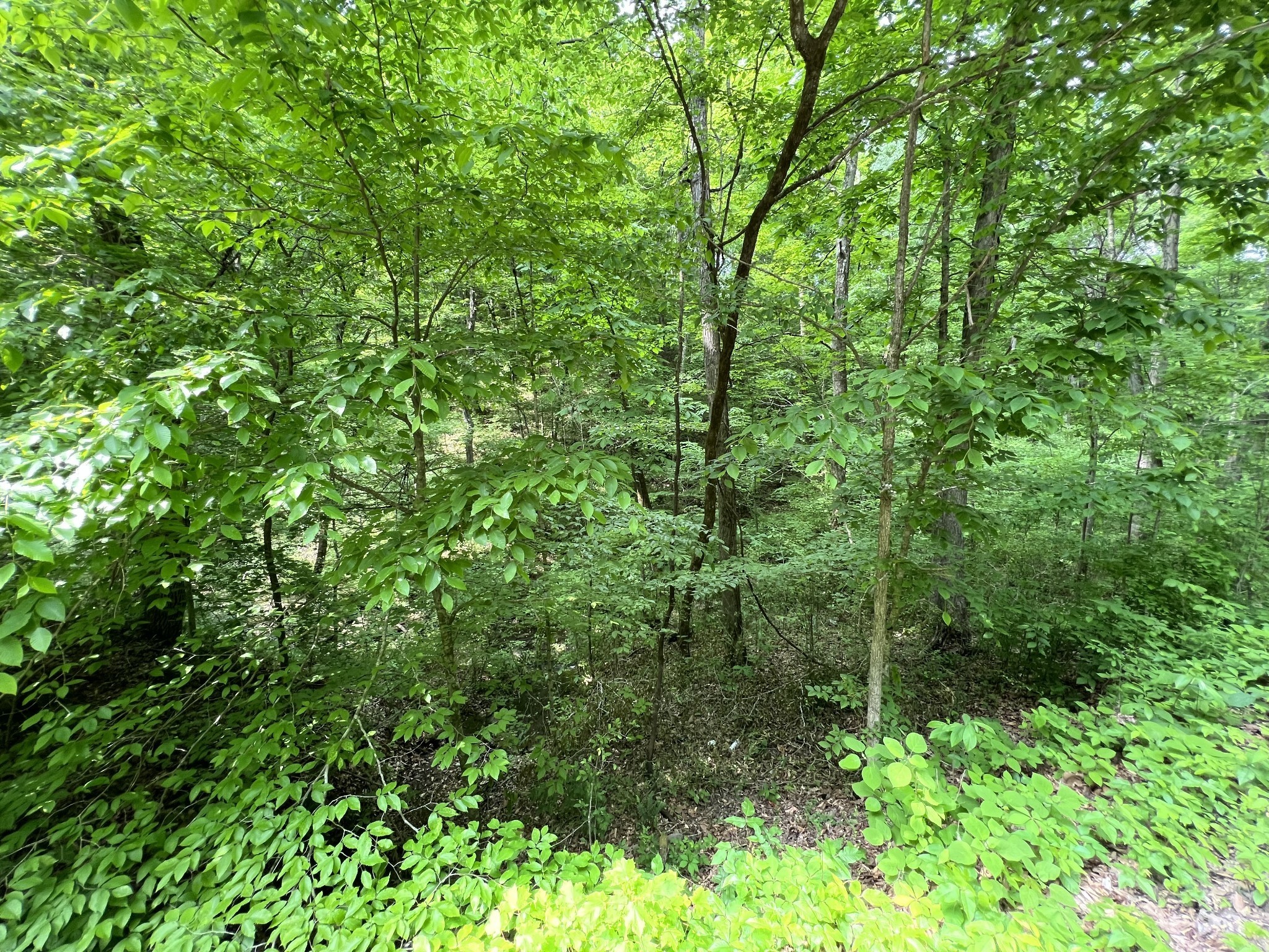 0 Clay Lick Road Whites Creek TN 37189
