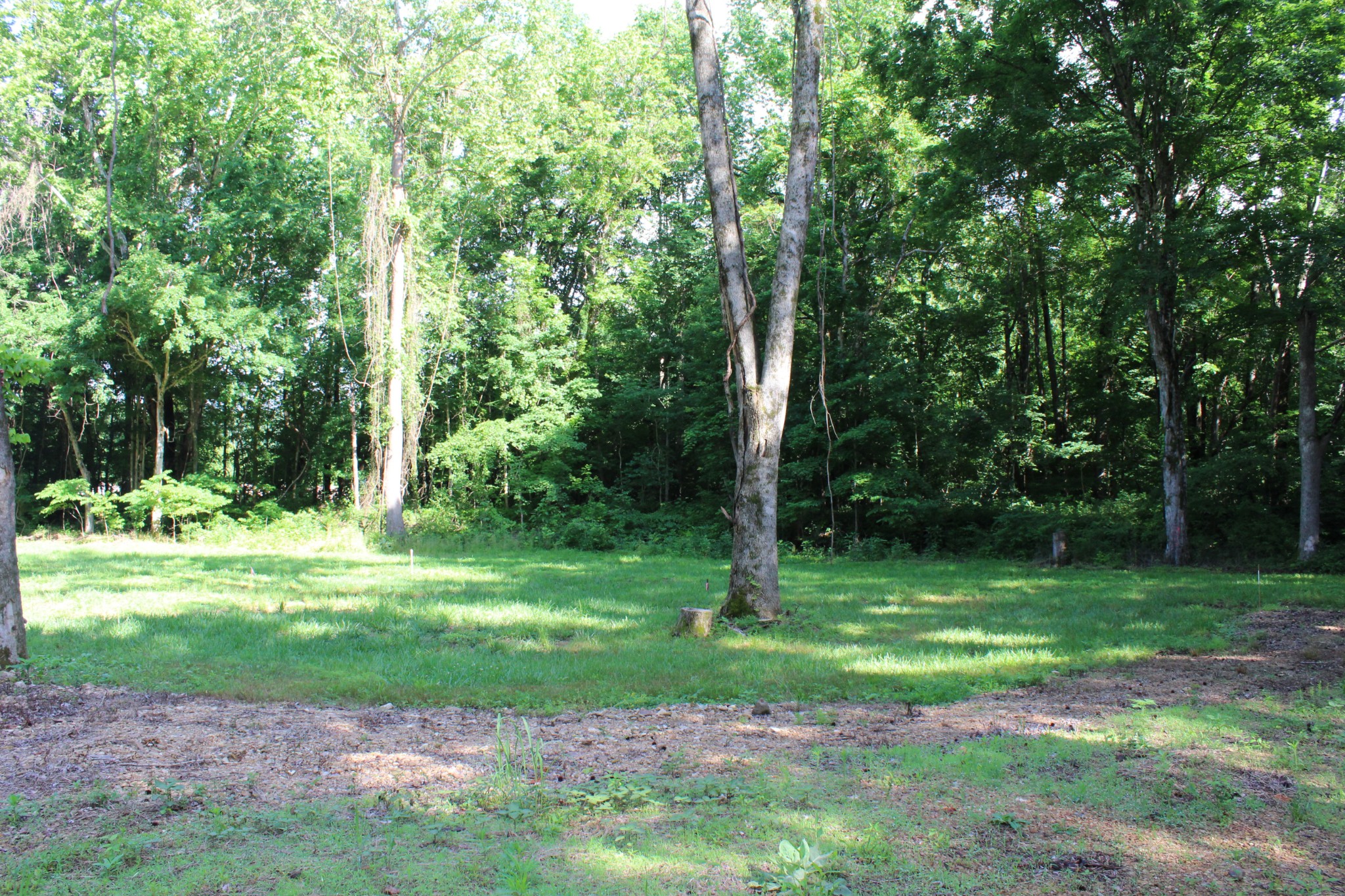 9681 Highway 147 Stewart TN 37175