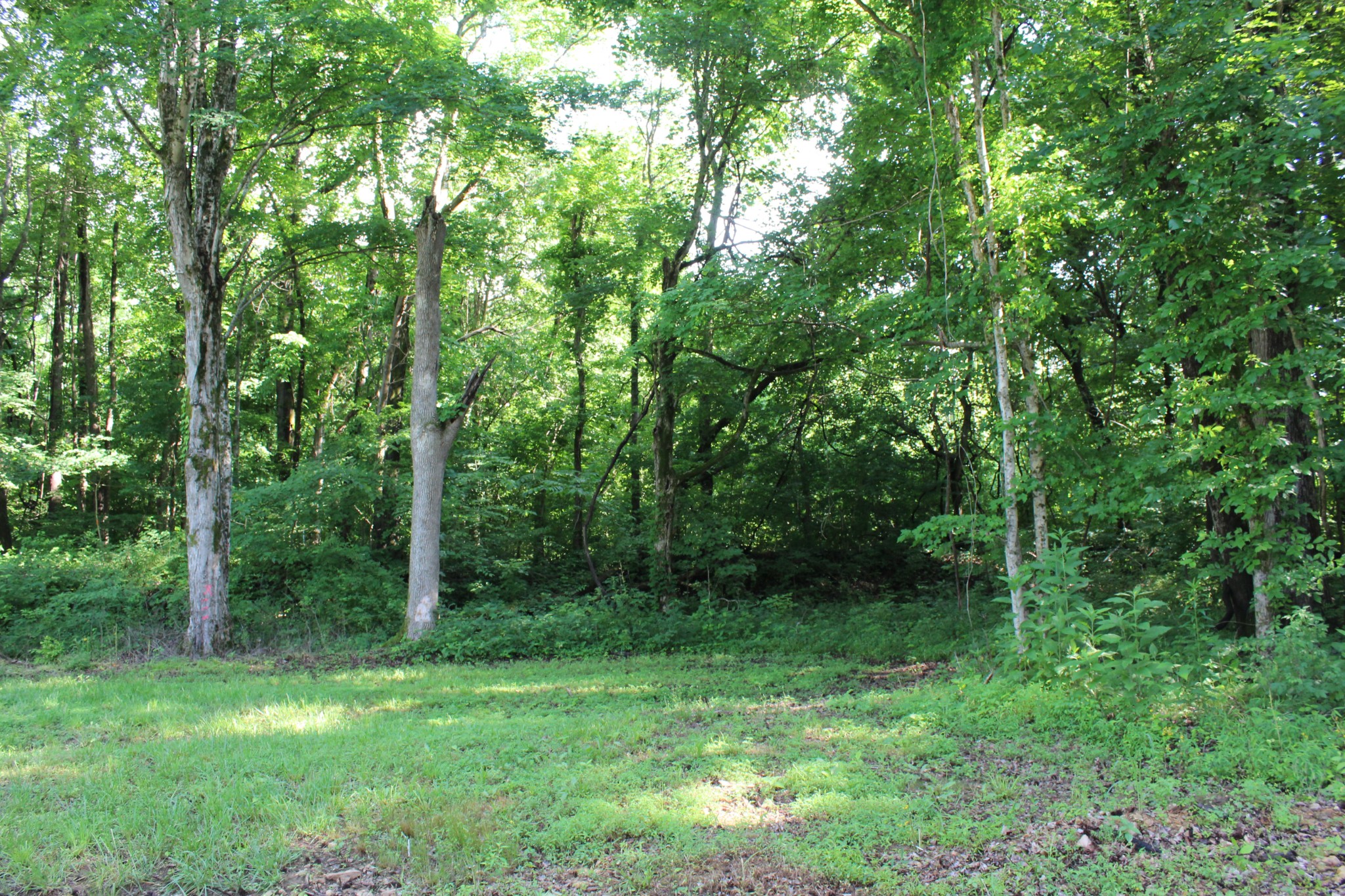 9681 Highway 147 Stewart TN 37175