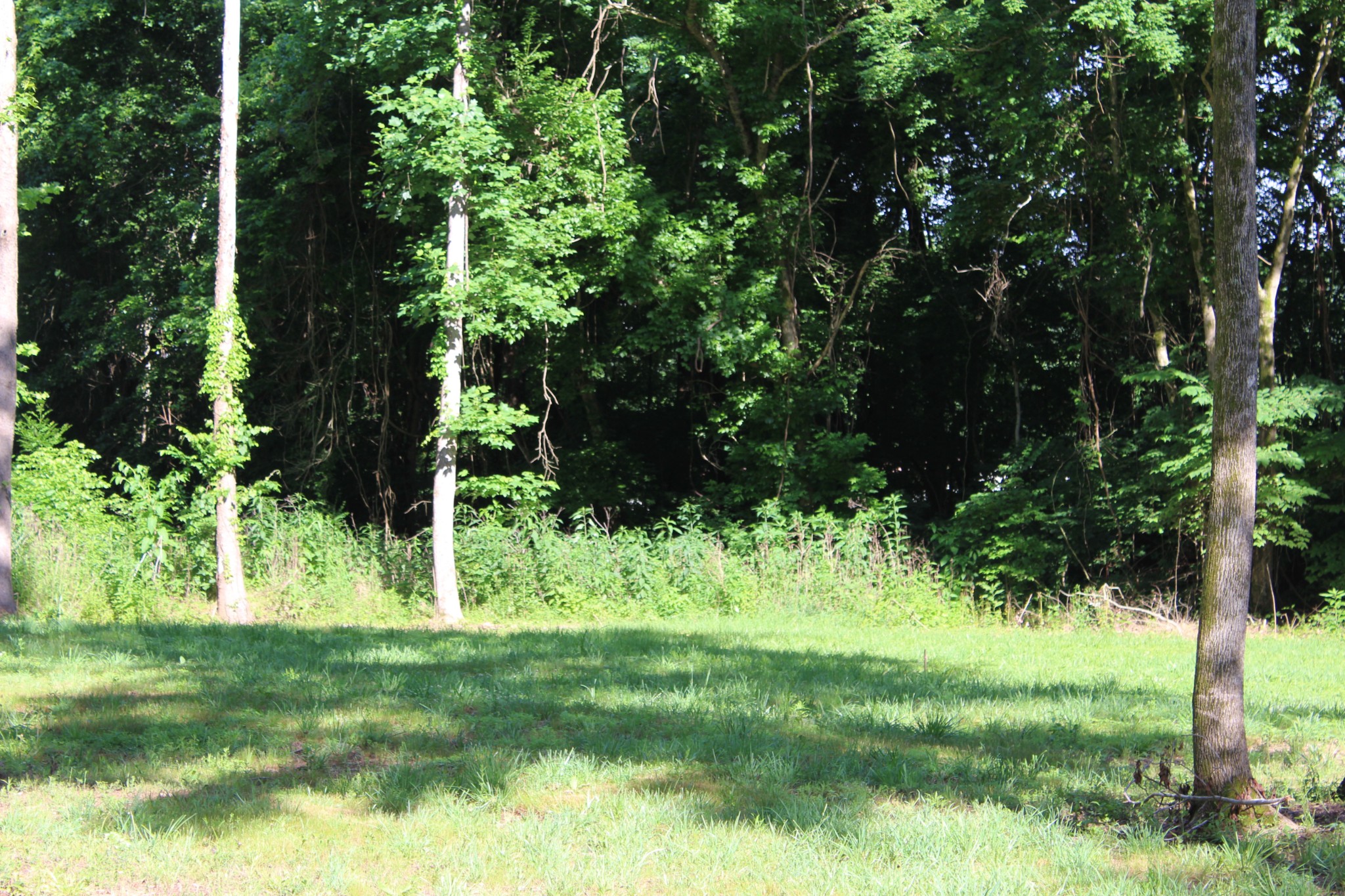 9681 Highway 147 Stewart TN 37175