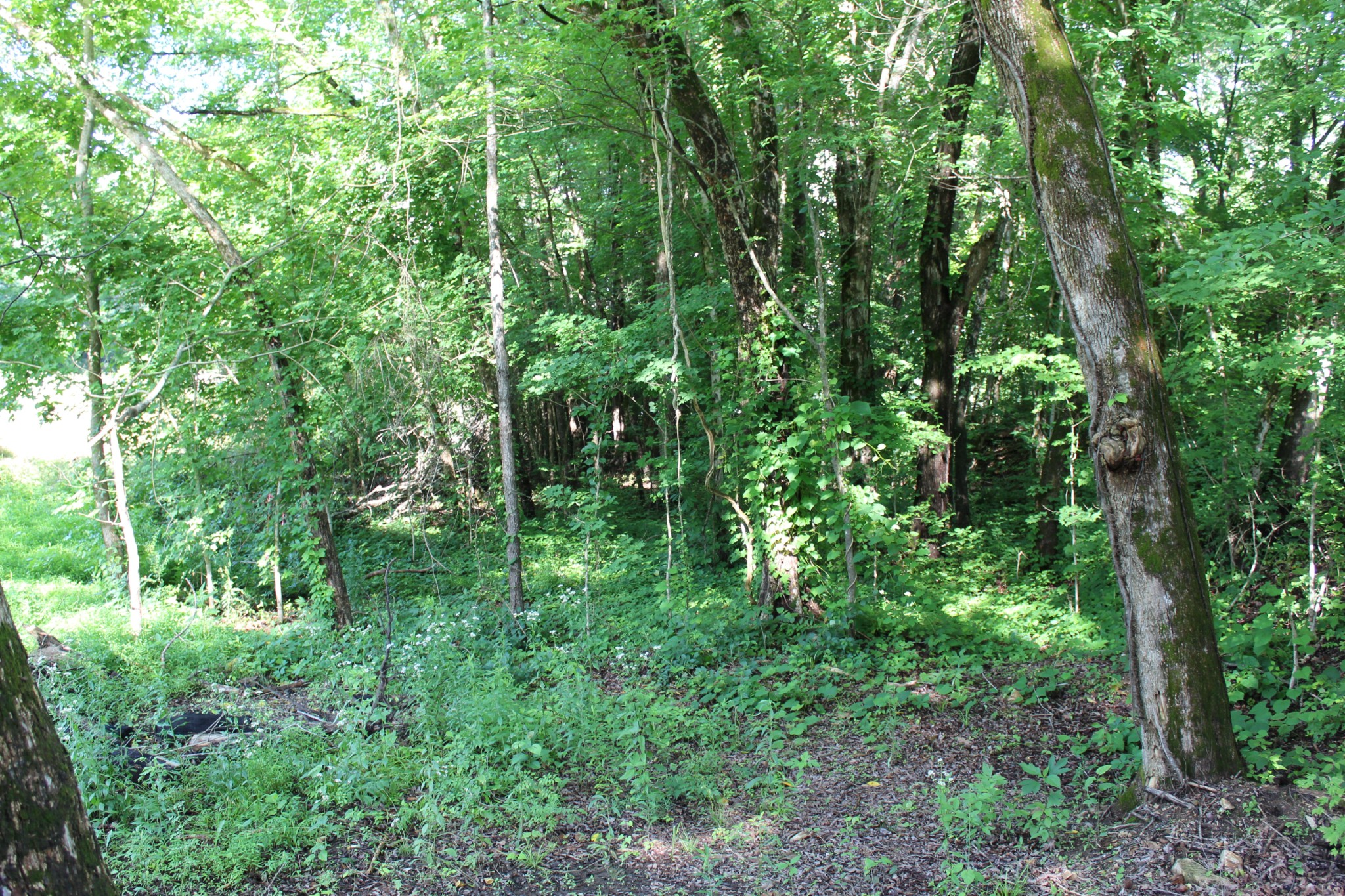 9681 Highway 147 Stewart TN 37175
