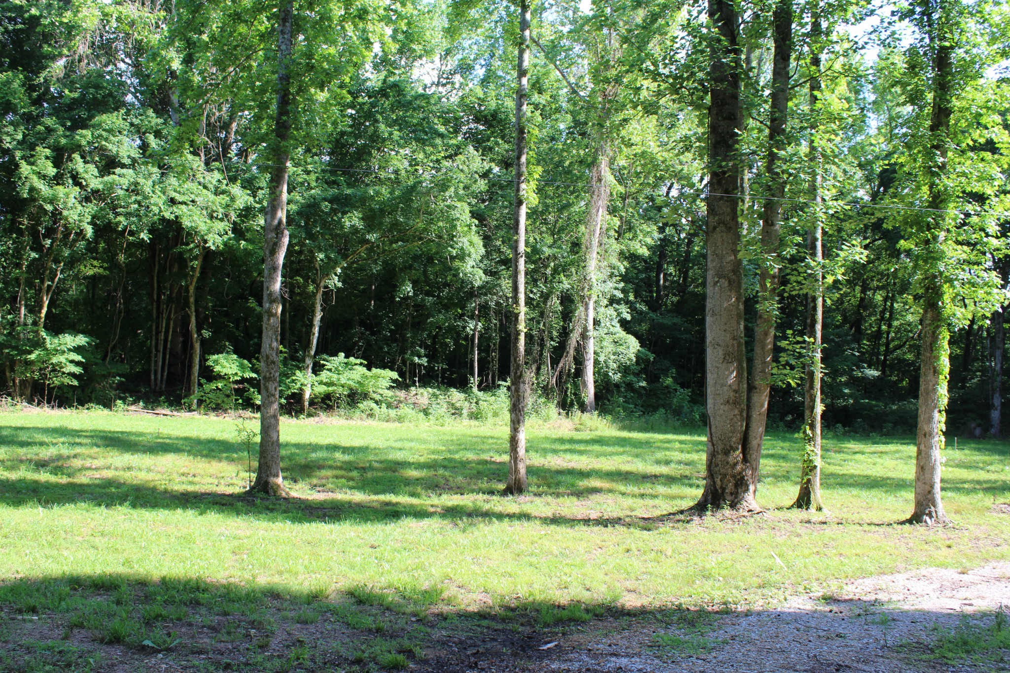 9681 Highway 147 Stewart TN 37175