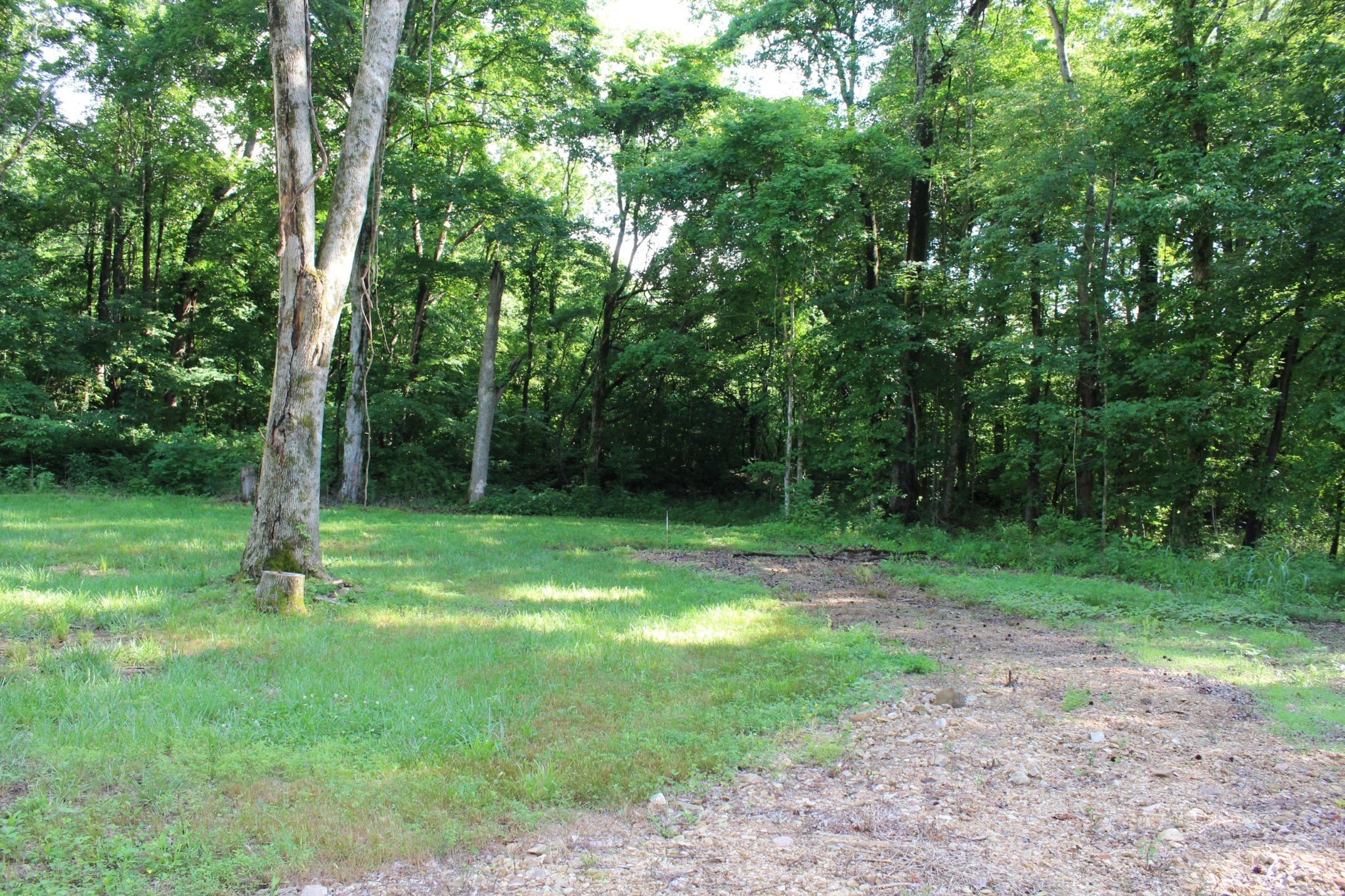 9681 Highway 147 Stewart TN 37175