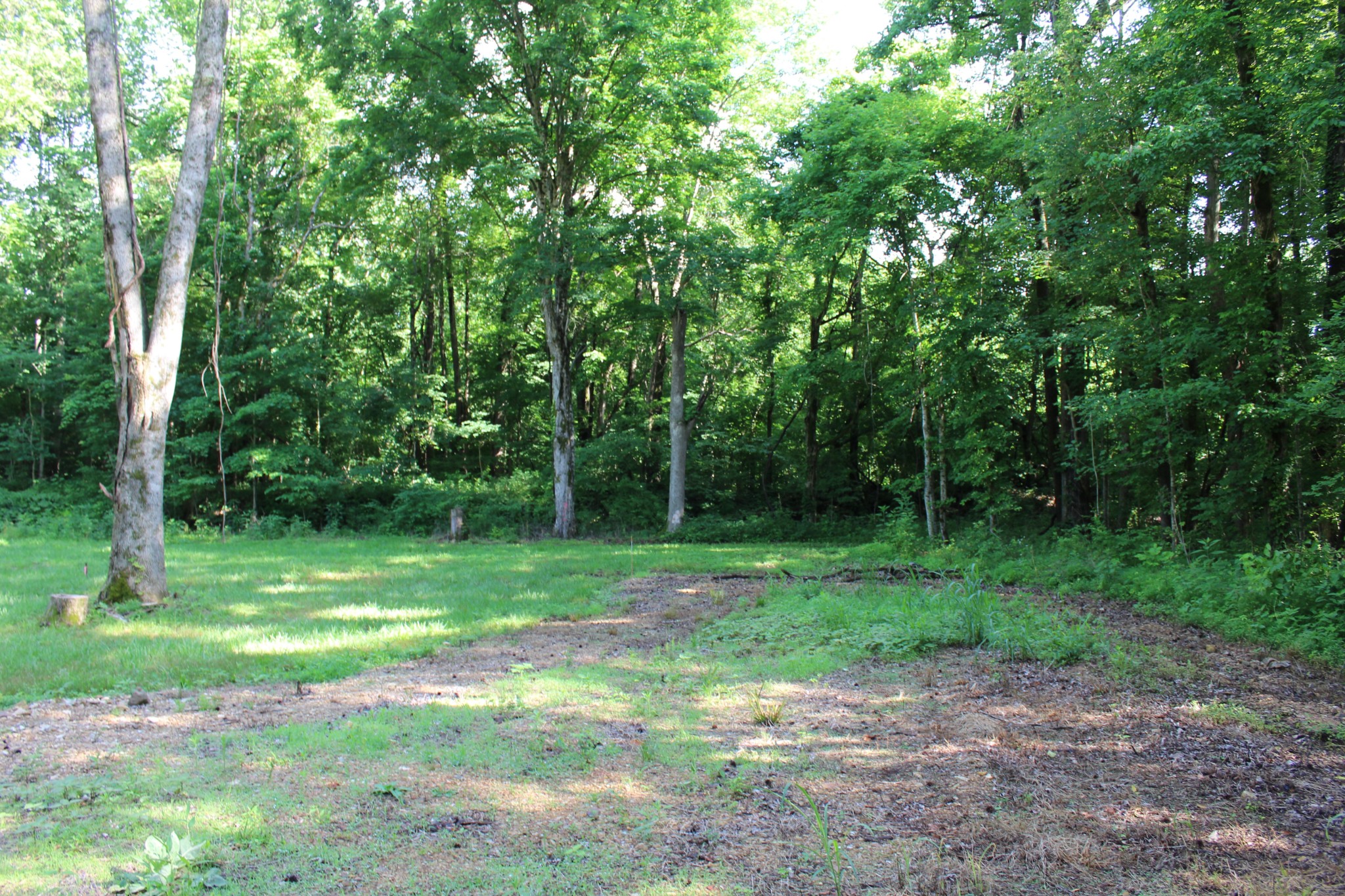 9681 Highway 147 Stewart TN 37175