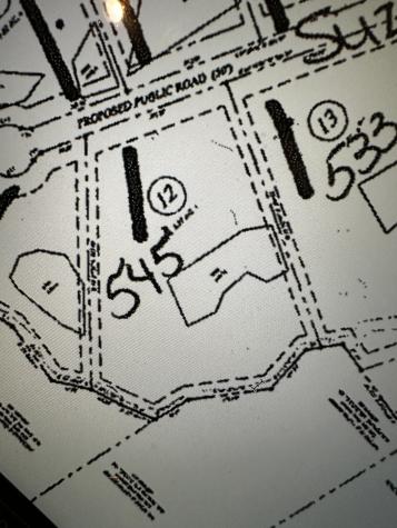 545 Suzanne Way Bethpage TN 37022