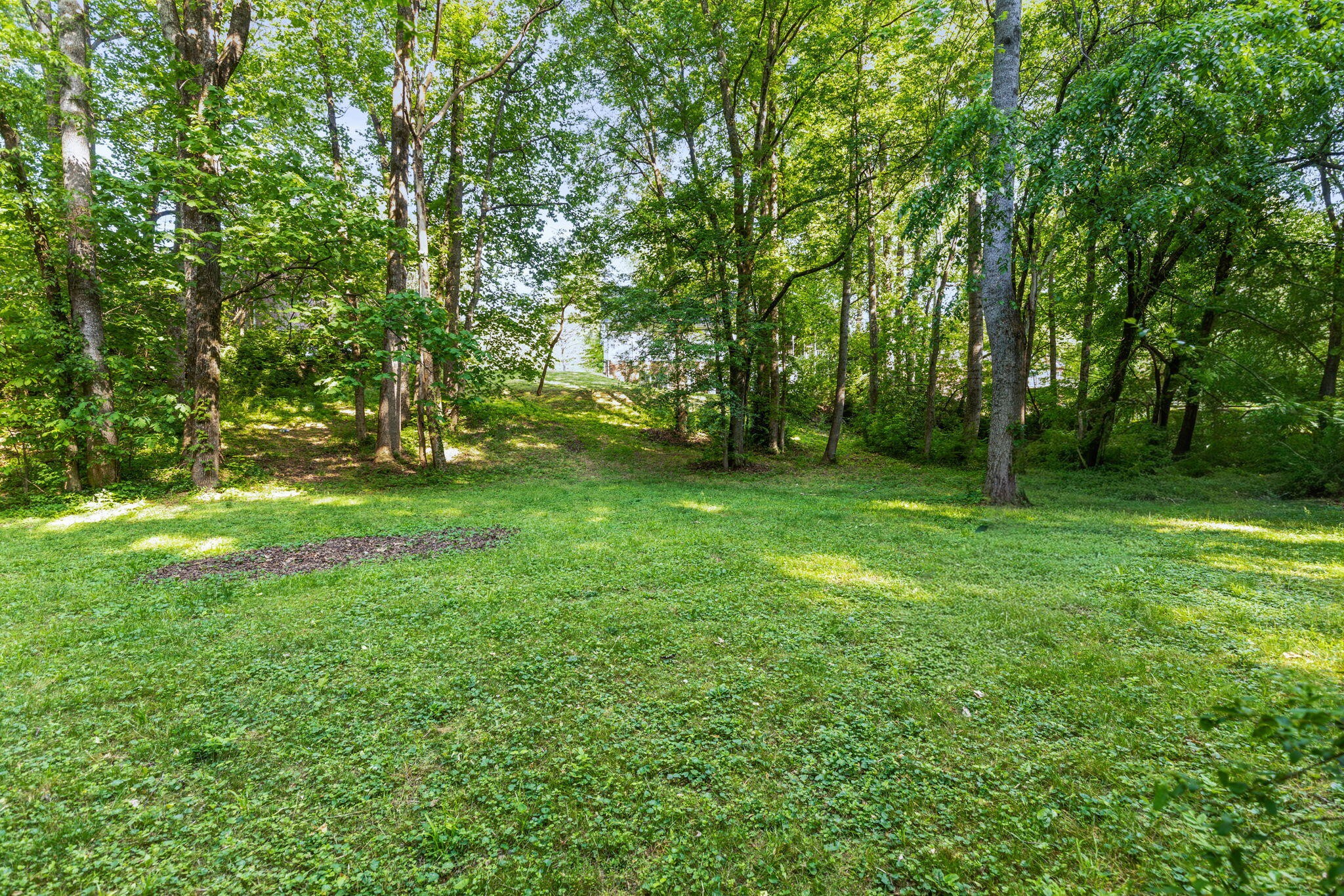 2013 Woodchase Way, NE Cleveland TN 37311