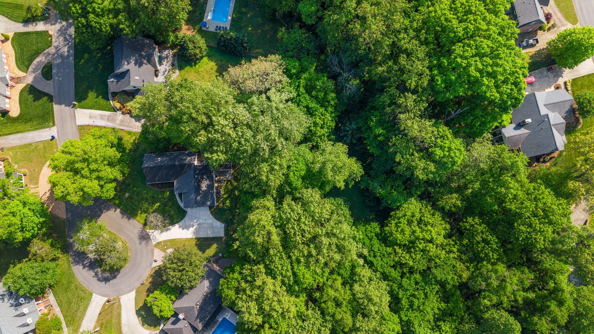 2013 Woodchase Way, NE Cleveland TN 37311