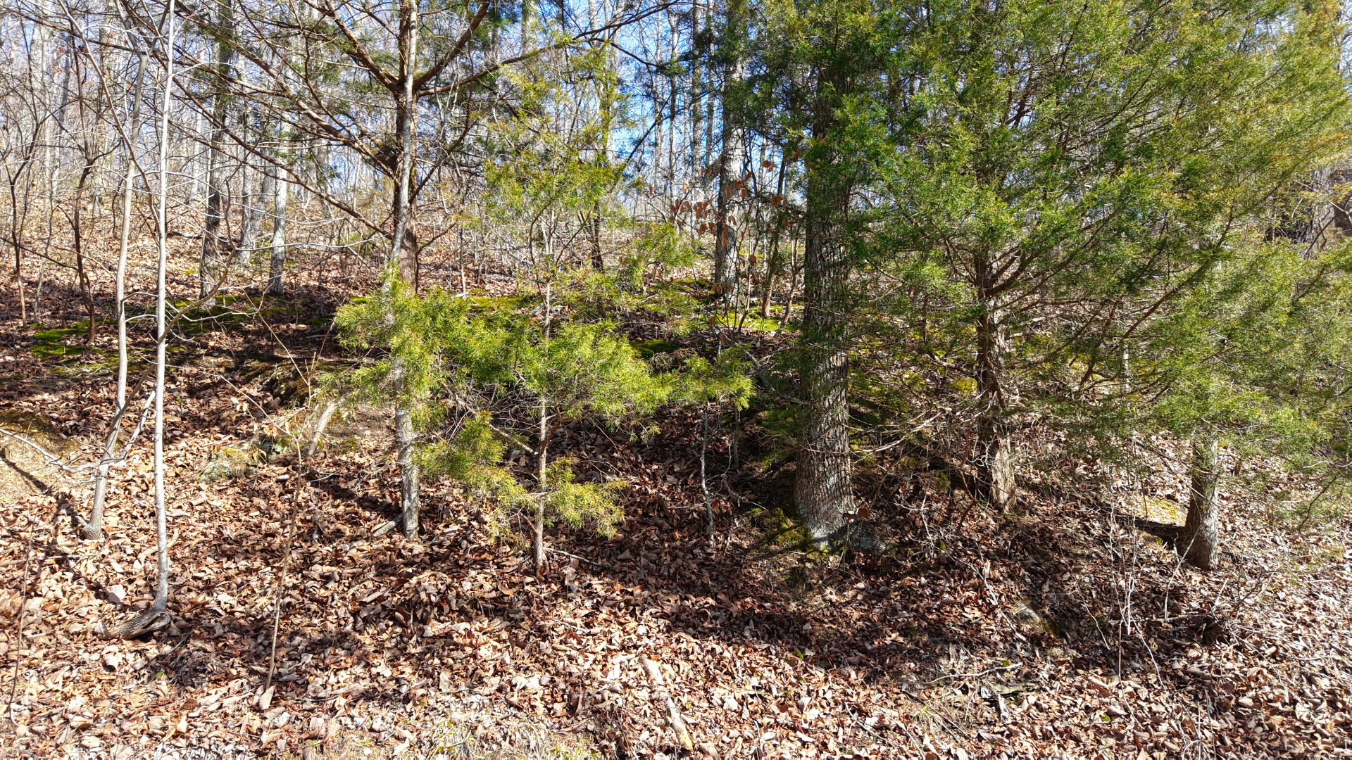 0 Highway 100 Nashville TN 37221