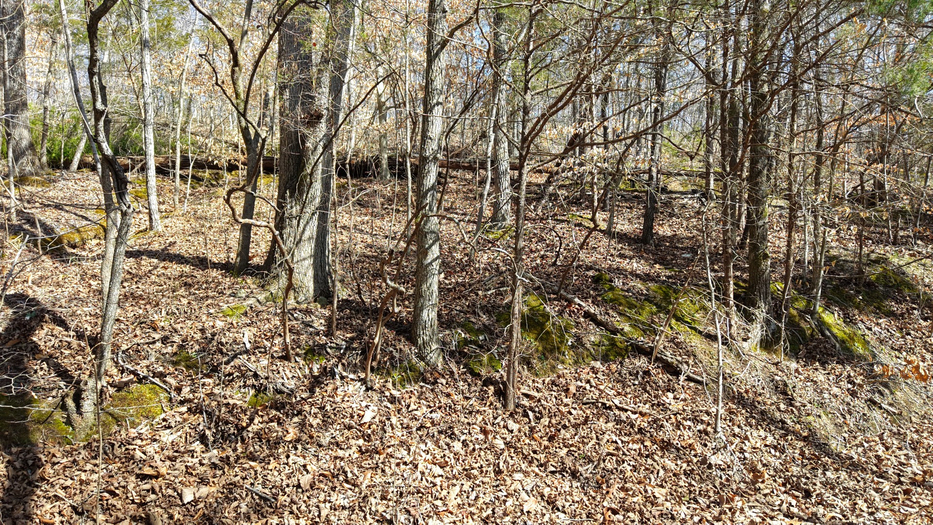 0 Highway 100 Nashville TN 37221
