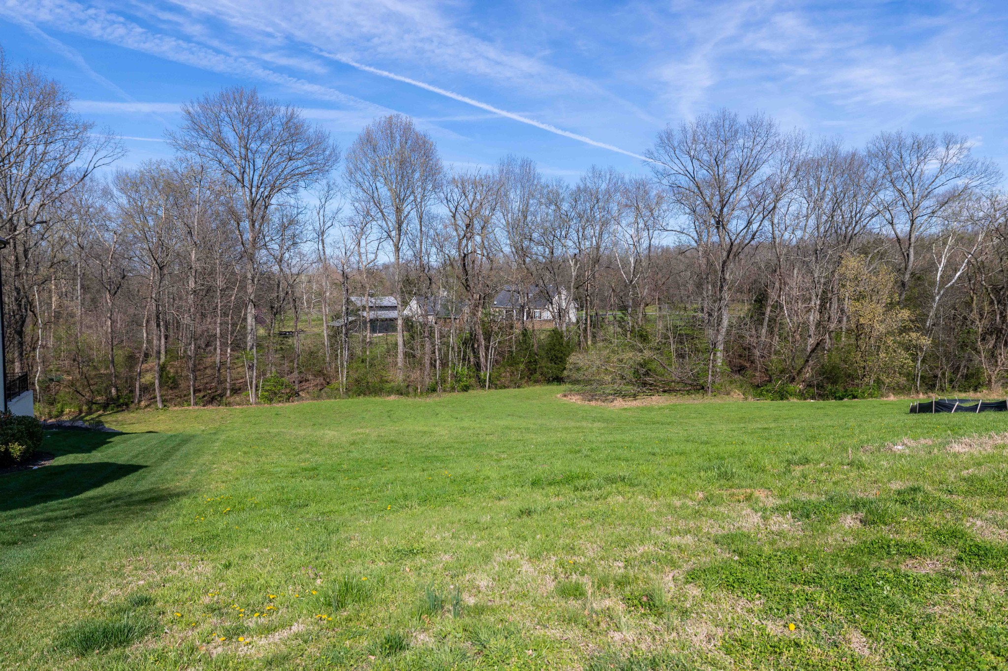 9040 Passiflora Court College Grove TN 37046