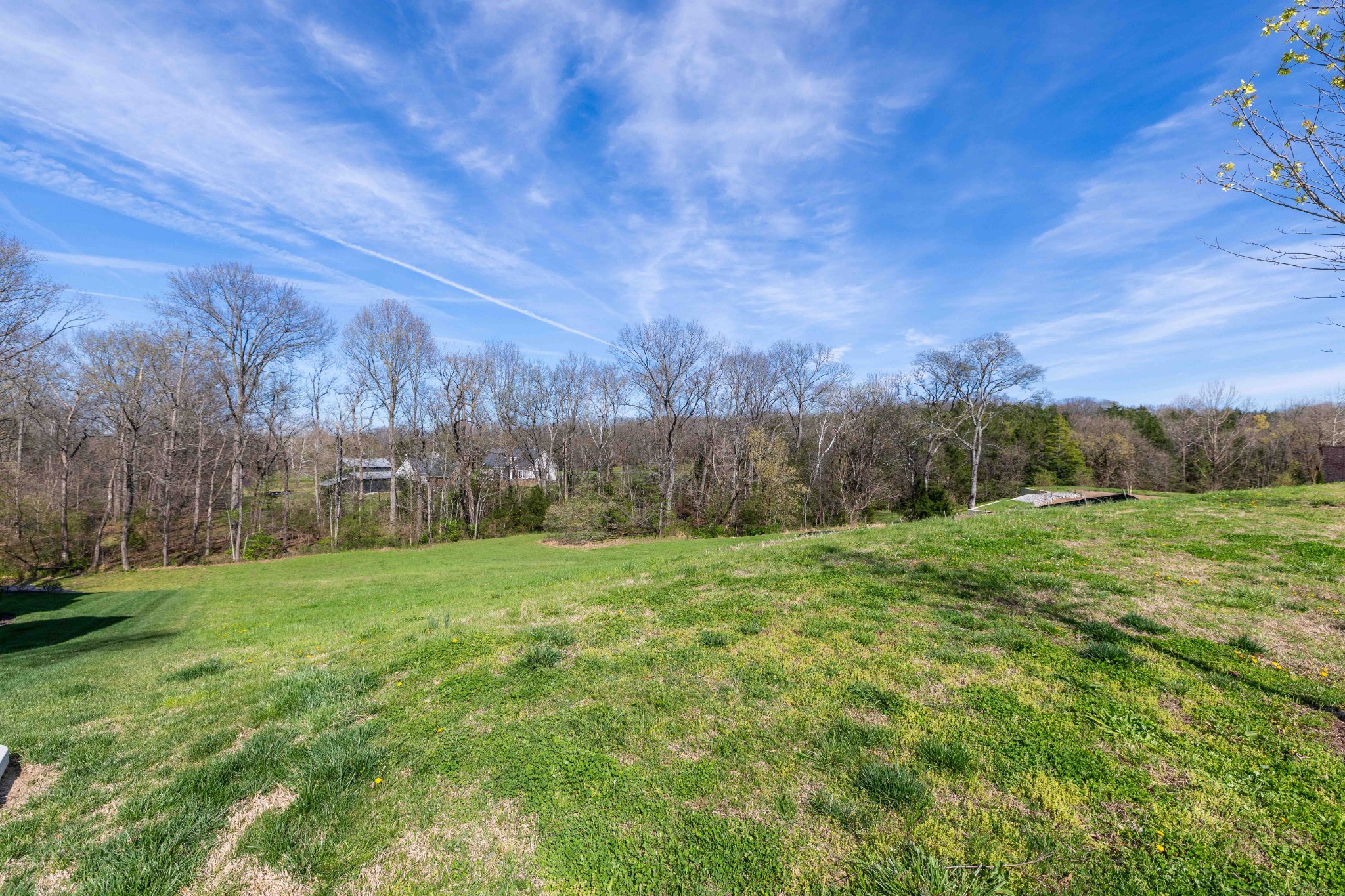 9040 Passiflora Court College Grove TN 37046