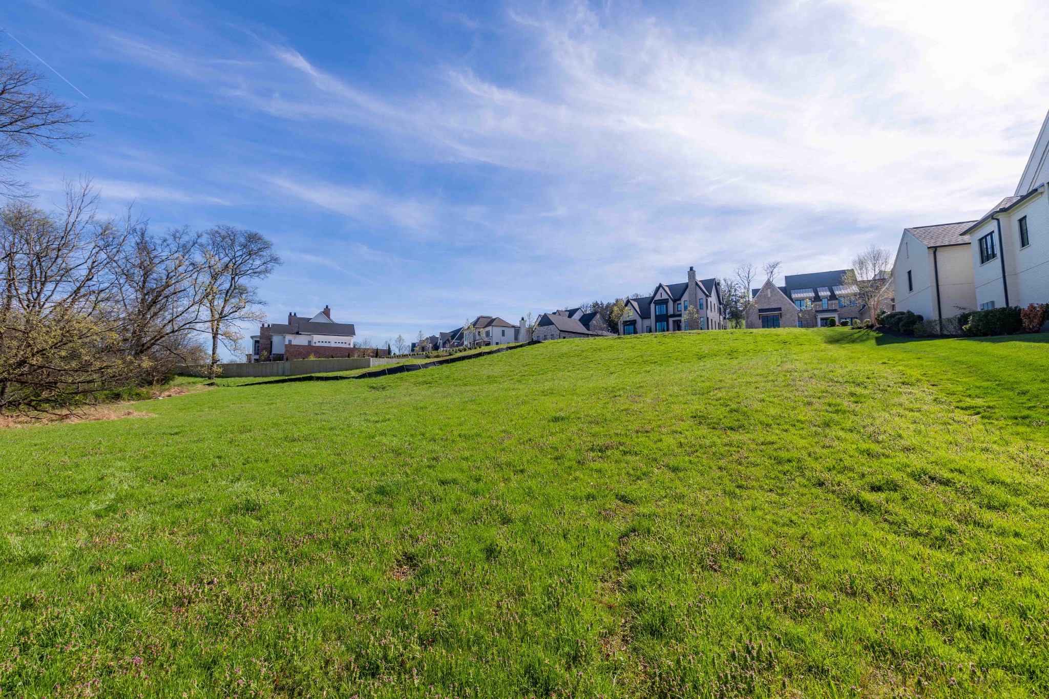 9040 Passiflora Court College Grove TN 37046