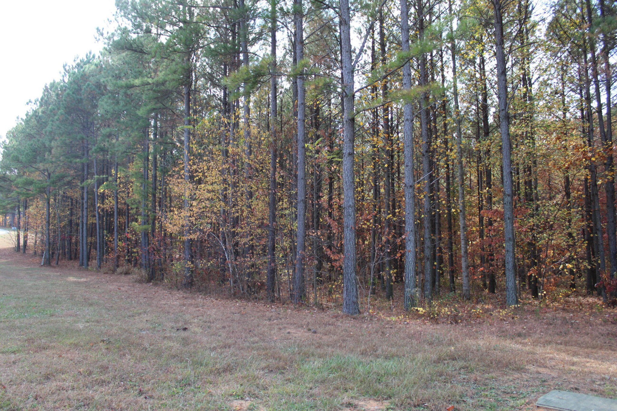 465 Compass Drive Jasper TN 37347