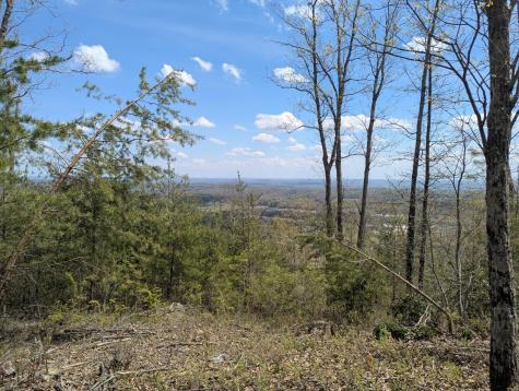 10 Escape Drive Evensville TN 37332