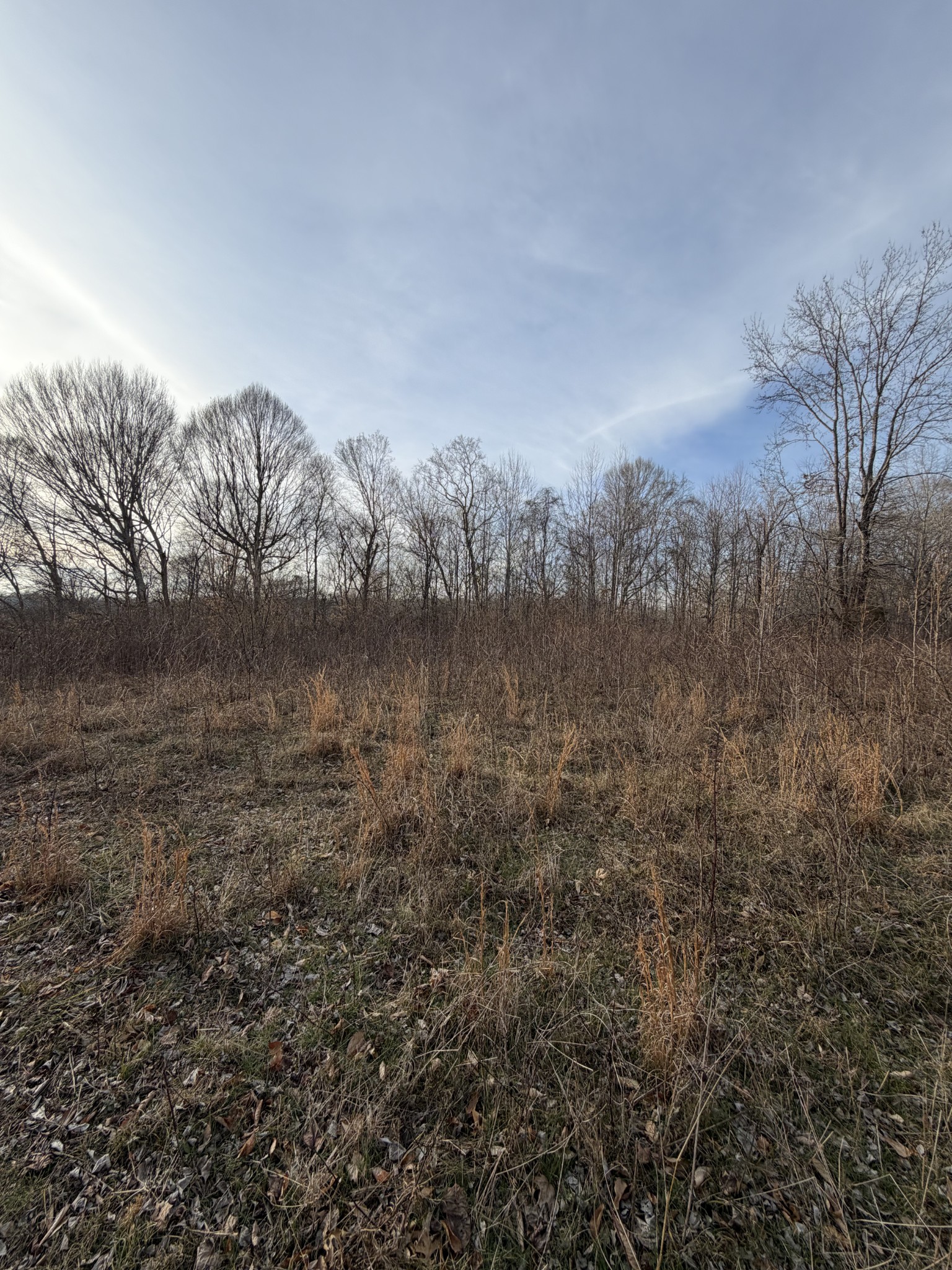 0 Macon Wall Road Ashland City TN 37015