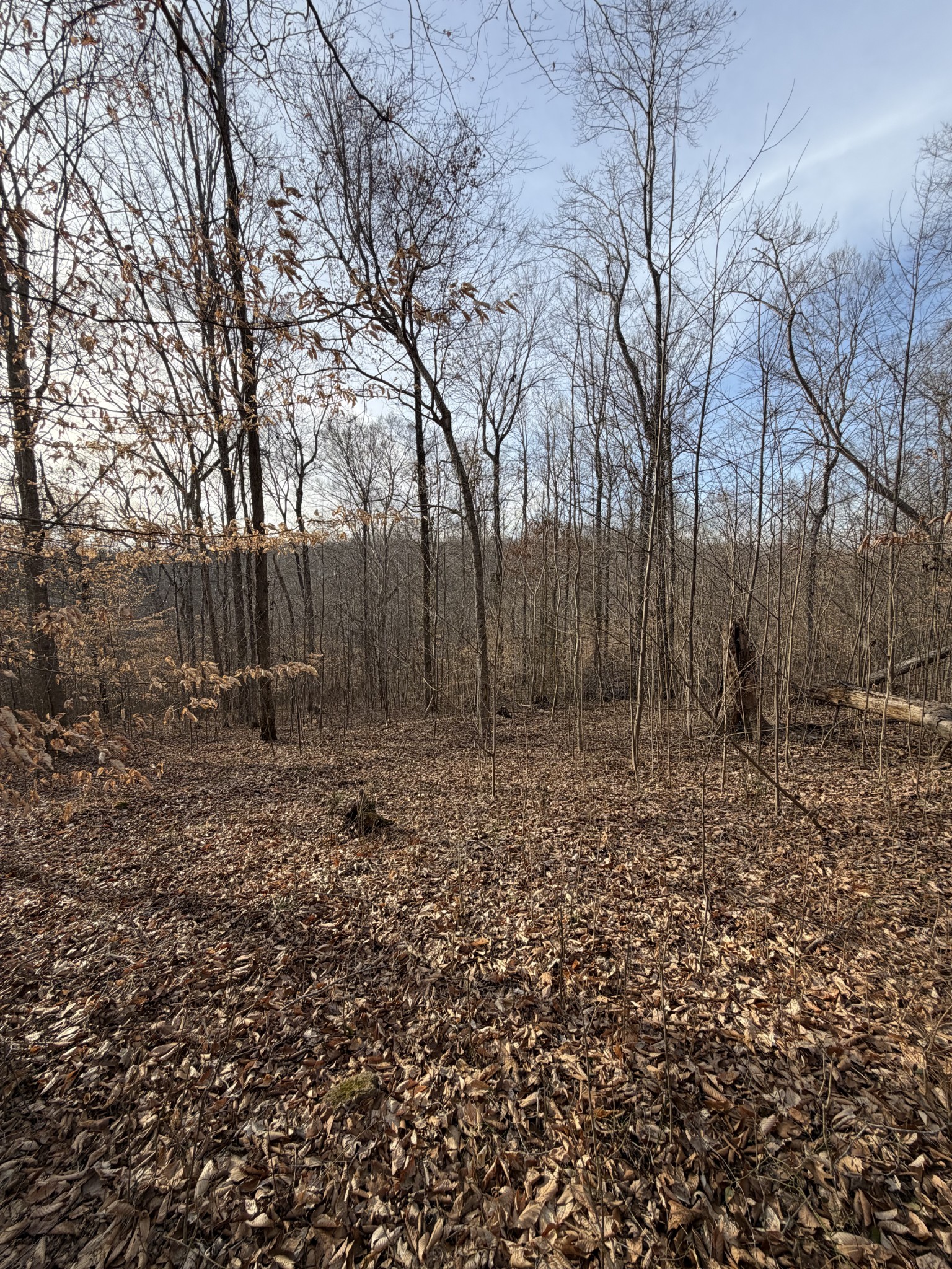 0 Macon Wall Road Ashland City TN 37015