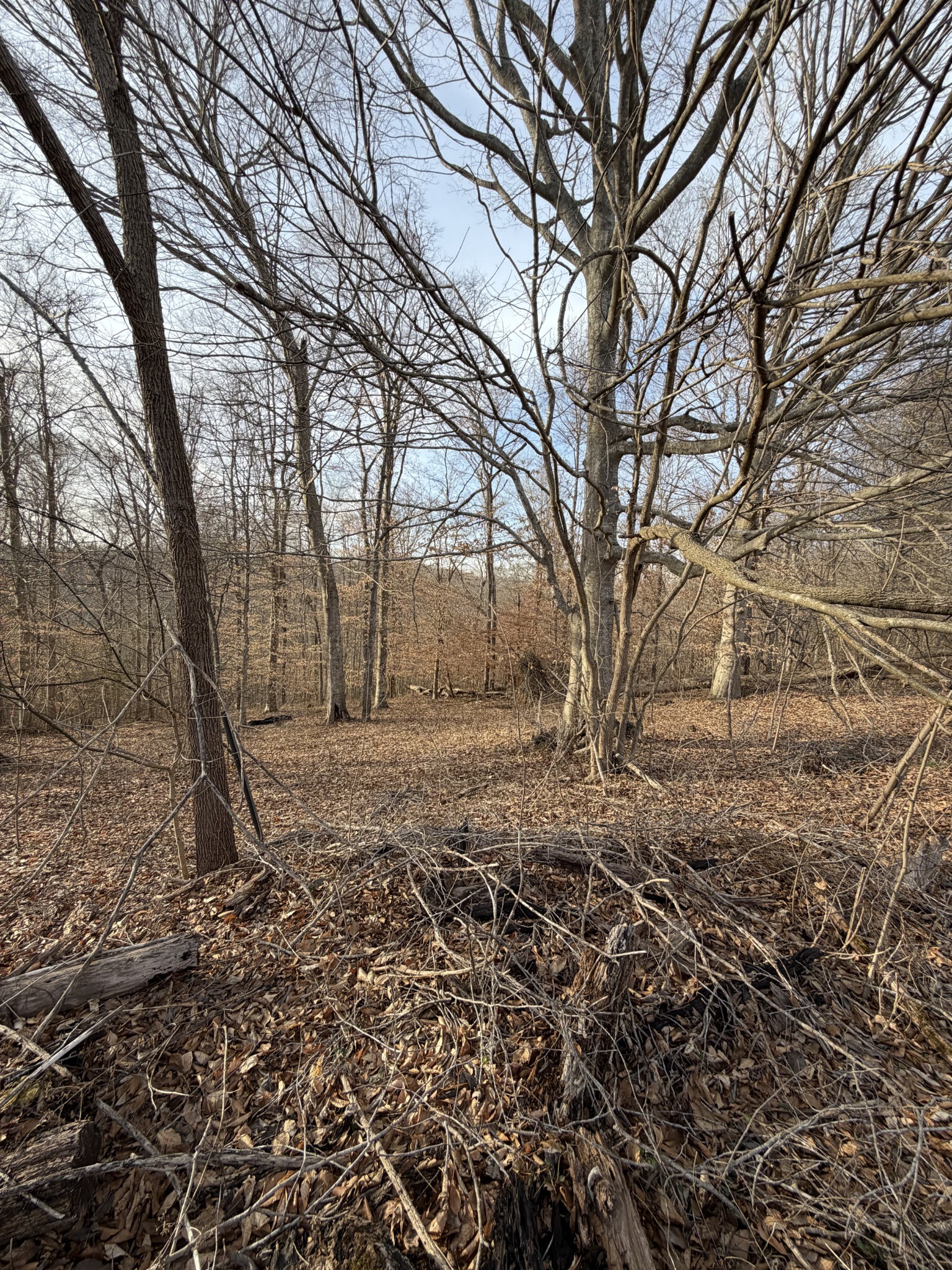 0 Macon Wall Road Ashland City TN 37015