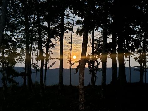 0 Campbell Highlands Drive Pioneer TN 37847