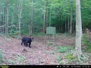 0 Campbell Highlands Drive Pioneer TN 37847